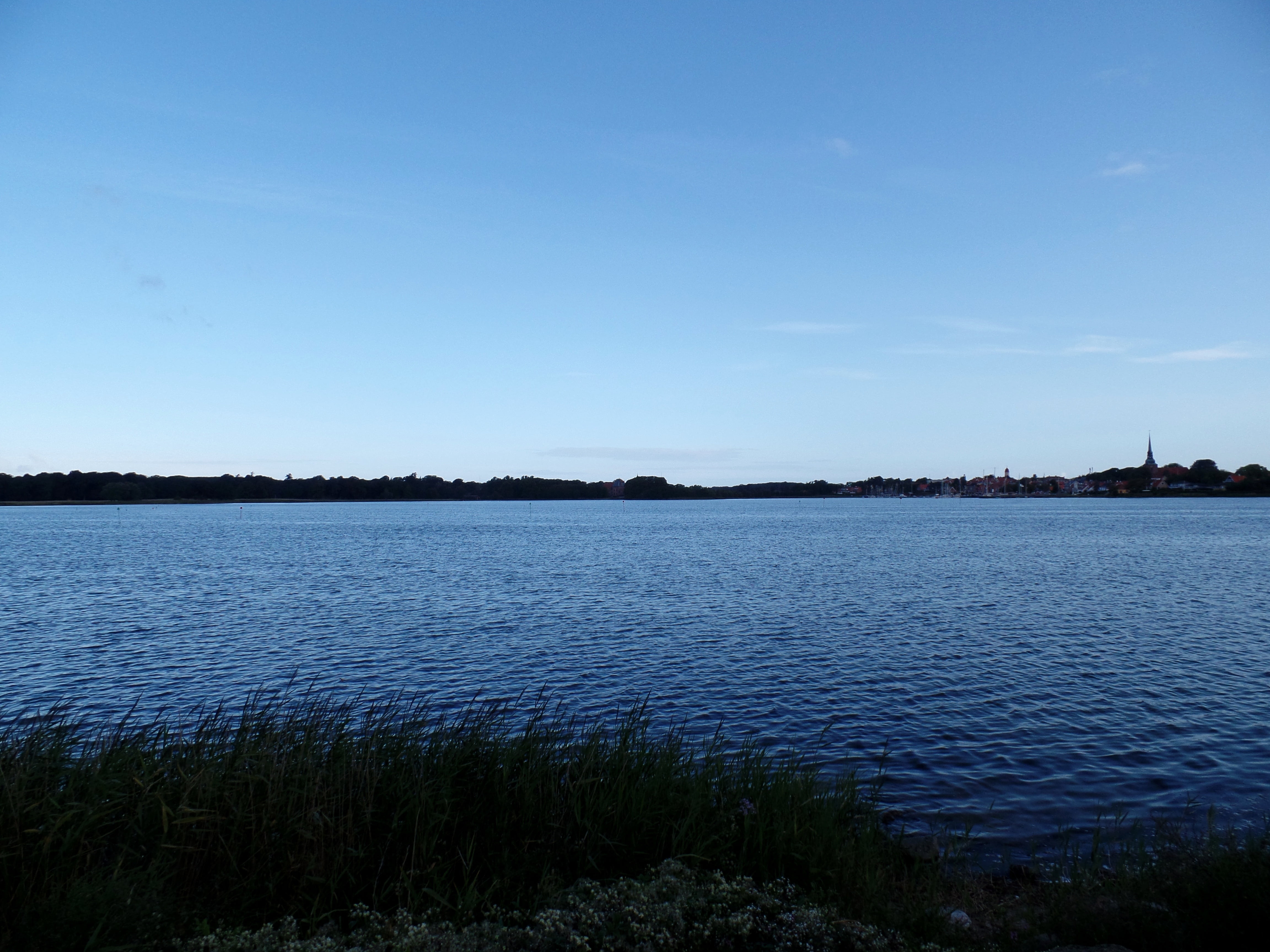 blue, day, copy space, grass, coast, scenics - nature, tranquility, denmark, plant, non-urban scene, nature, tranquil scene, baltic sea, evening sky, outdoors, HD Wallpaper