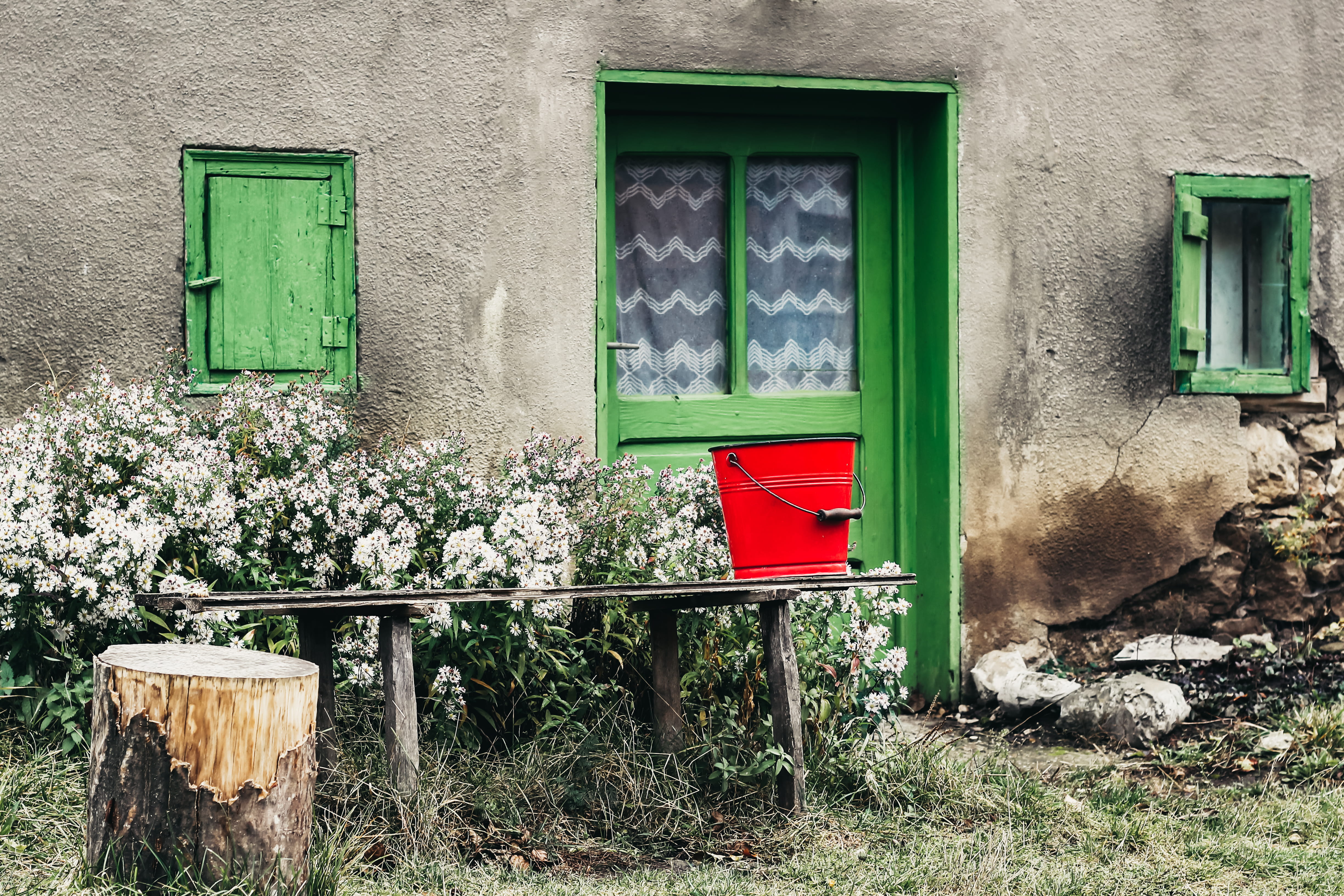 brick, mushroom, architecture, outdoors, closed, day, window, bucket, moss, mailbox, built structure, bench, furniture, no people, chair, postbox, ivy, HD Wallpaper