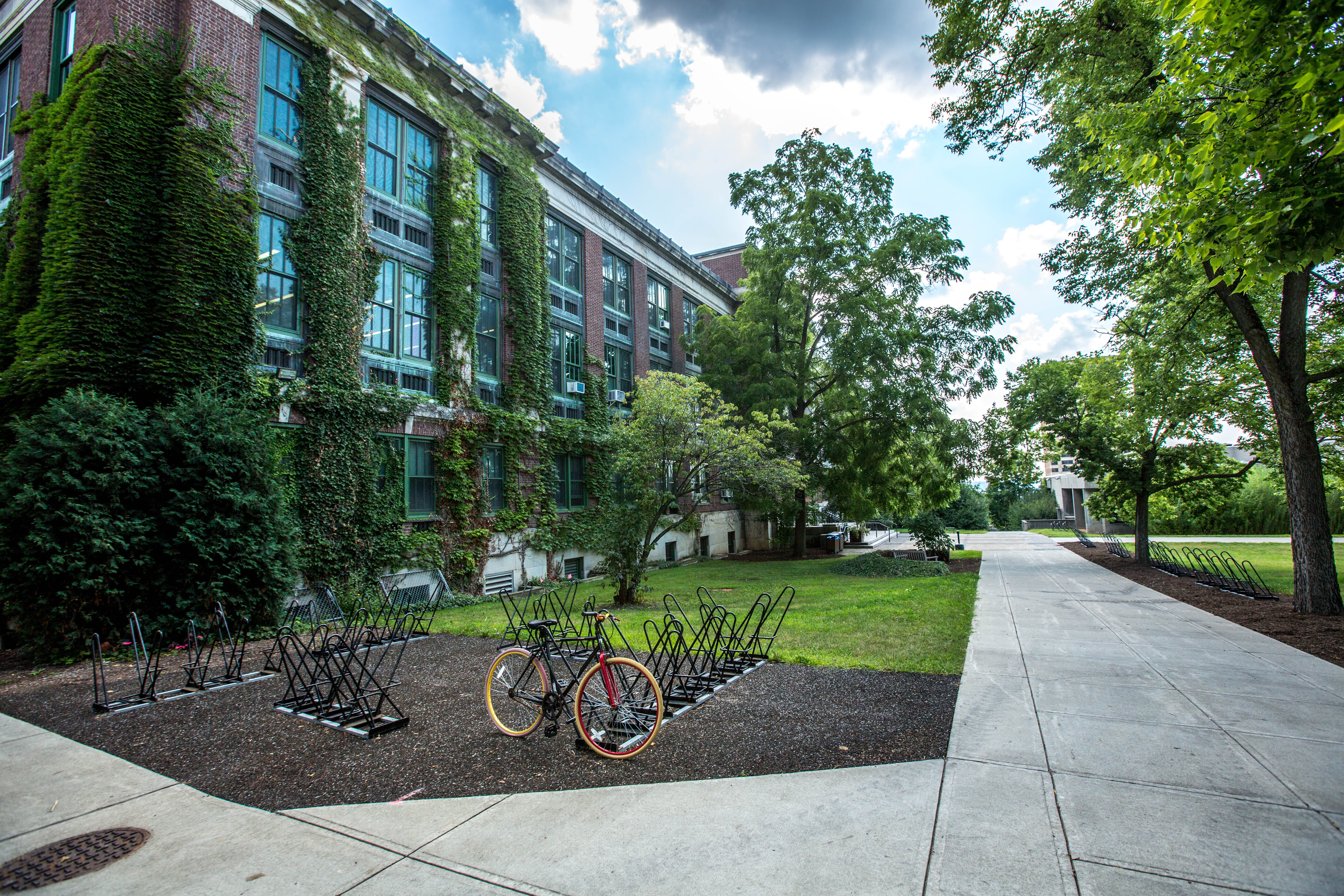 building exterior, transportation, day, outdoors, land vehicle, university, park, mode of transportation, plant, parked, sky, city, built structure, 5K, HD Wallpaper