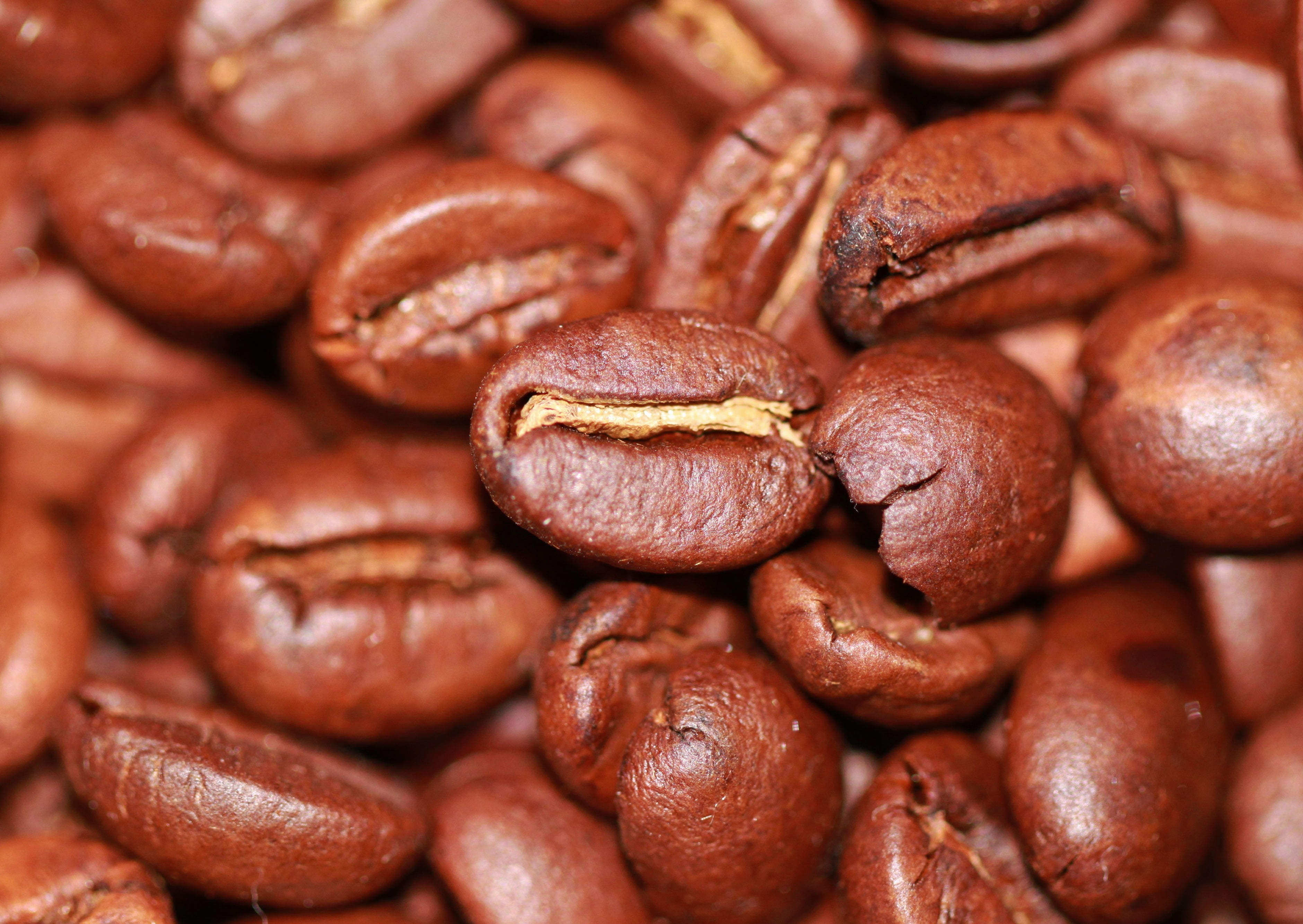 coffee, still life, grained, breakfast, backgrounds, close-up, mocha, espresso, full frame, dark, bean, 2K, sweet food, temptation, freshness, abundance, HD Wallpaper