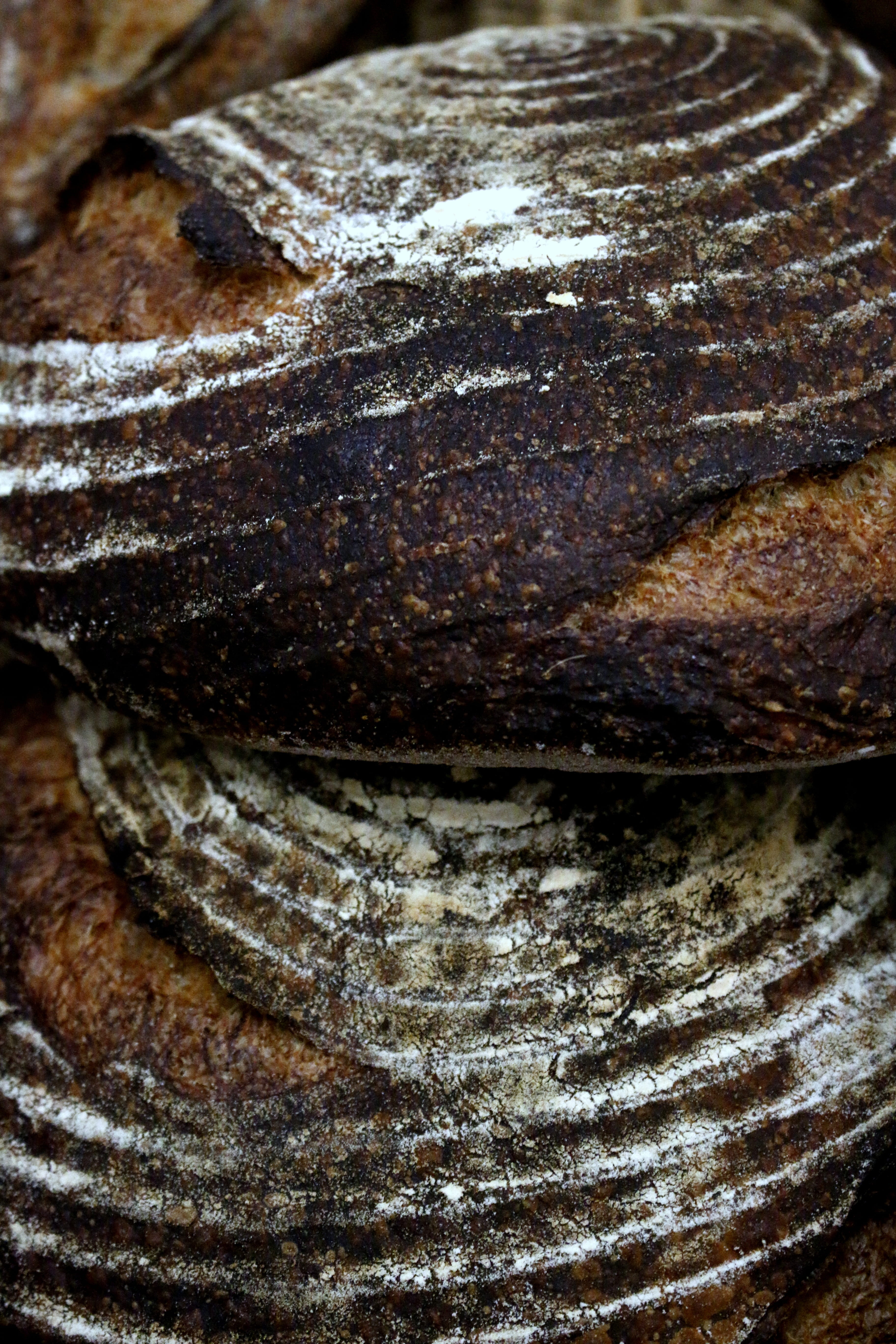 loaves, poppy seed, artisan, flour, sweet, brown, indulgence, close-up, bread, french, knead, no people, baked, pattern, food, sourdough, textured, cake, Phone HD Wallpaper