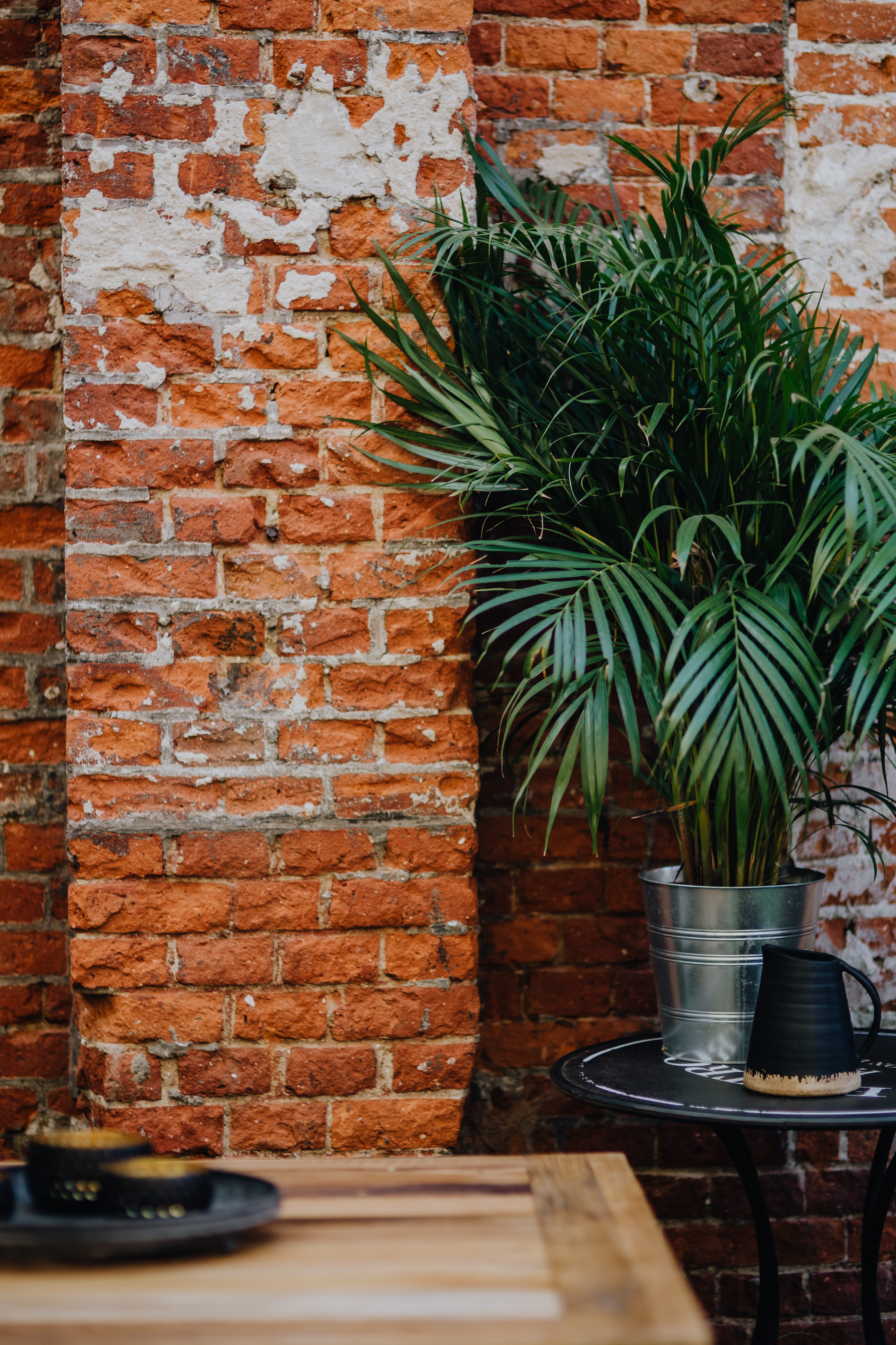 bistro, coffee, brick wall, food and drink, architecture, outdoor, table, cafe, woman, wood - material, nature, day, growth, lifestyle, grass, 5K, crockery, Phone HD Wallpaper