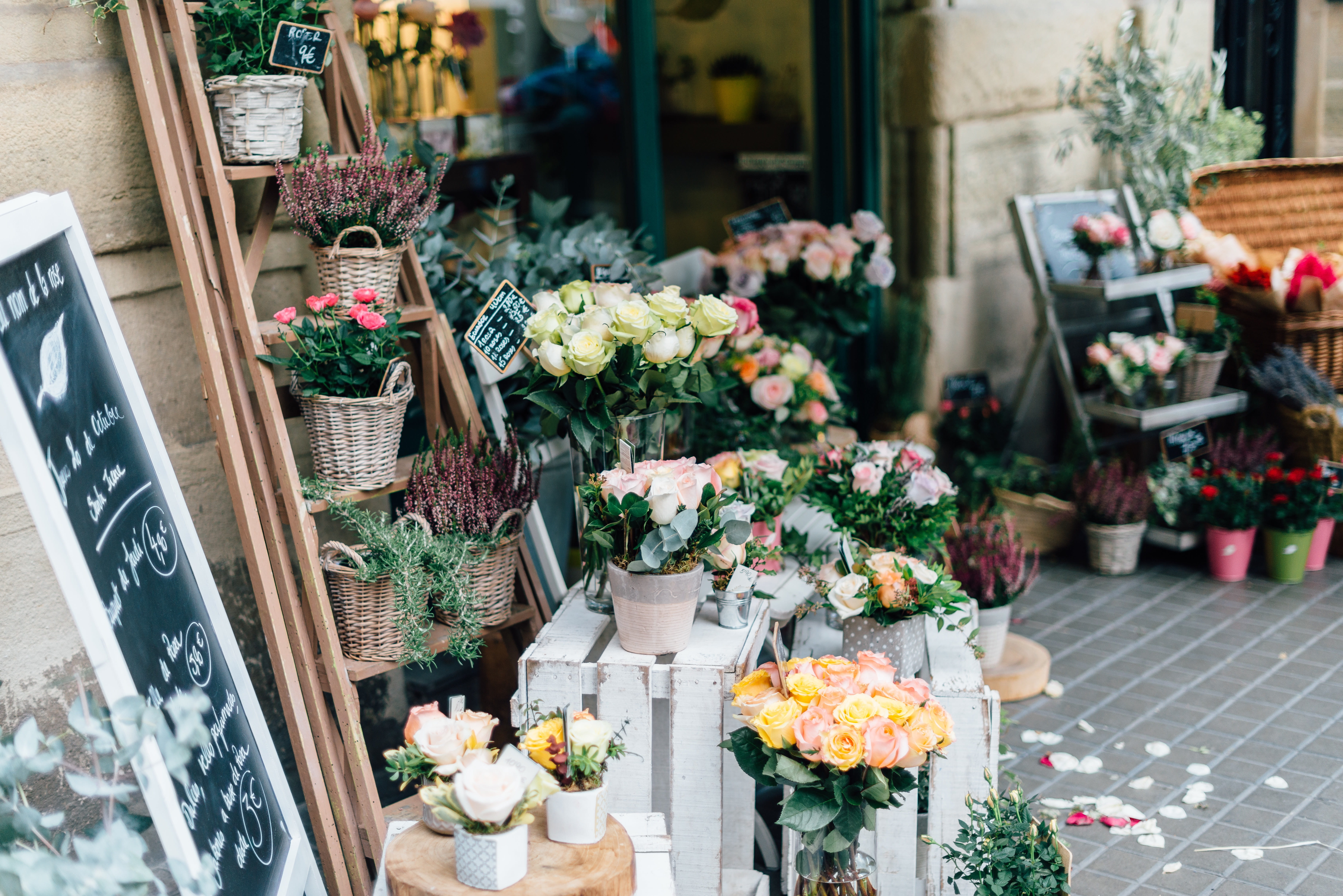 autumn, bouquet, fall, plant, arrangement, bloom, flower market, day, freshness, flowering plant, business, consumerism, choice, outdoors, display, petal, HD Wallpaper
