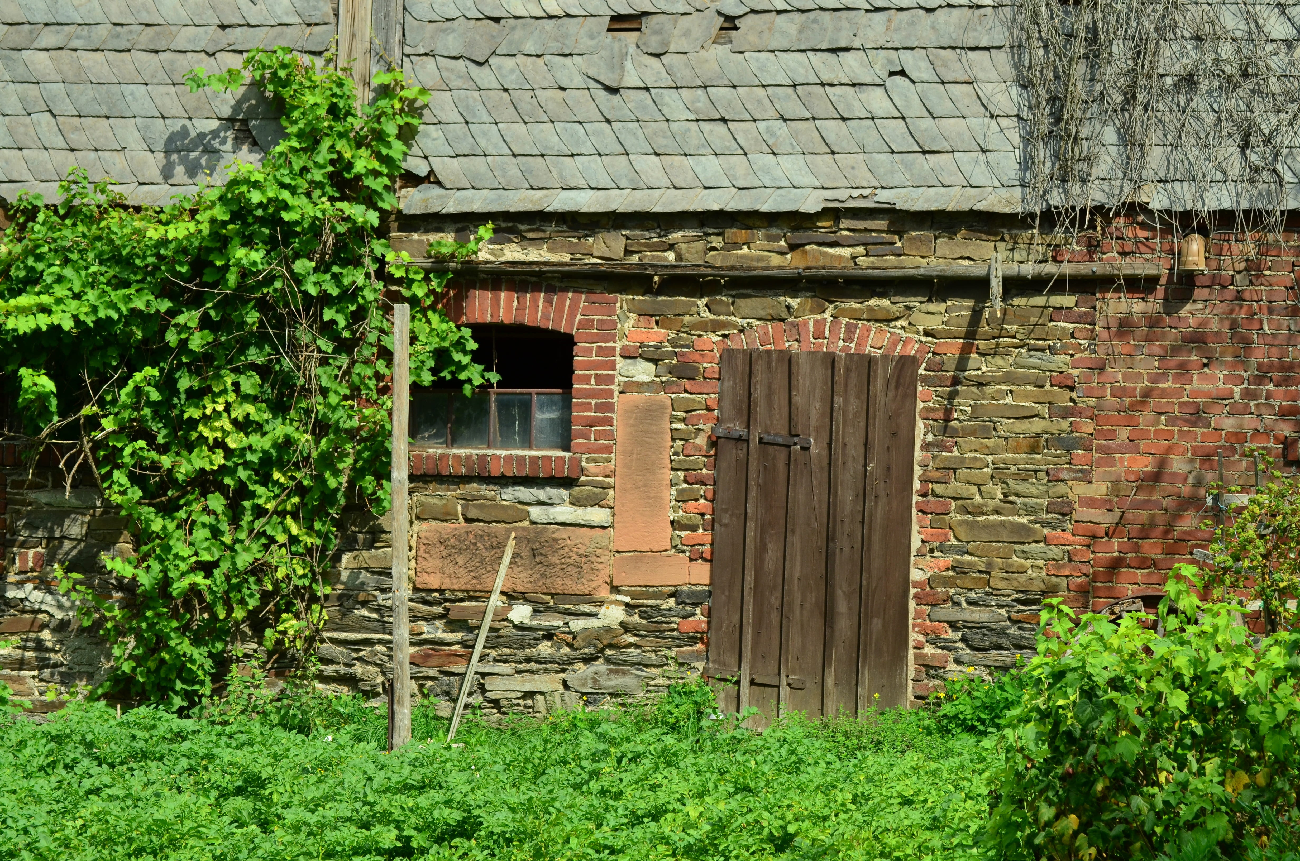 lovers, old door, home, plant, house, building exterior, no people, rustic, slate, architecture, building, 4K, house facade, brick wall, romantic, farmhouse, HD Wallpaper