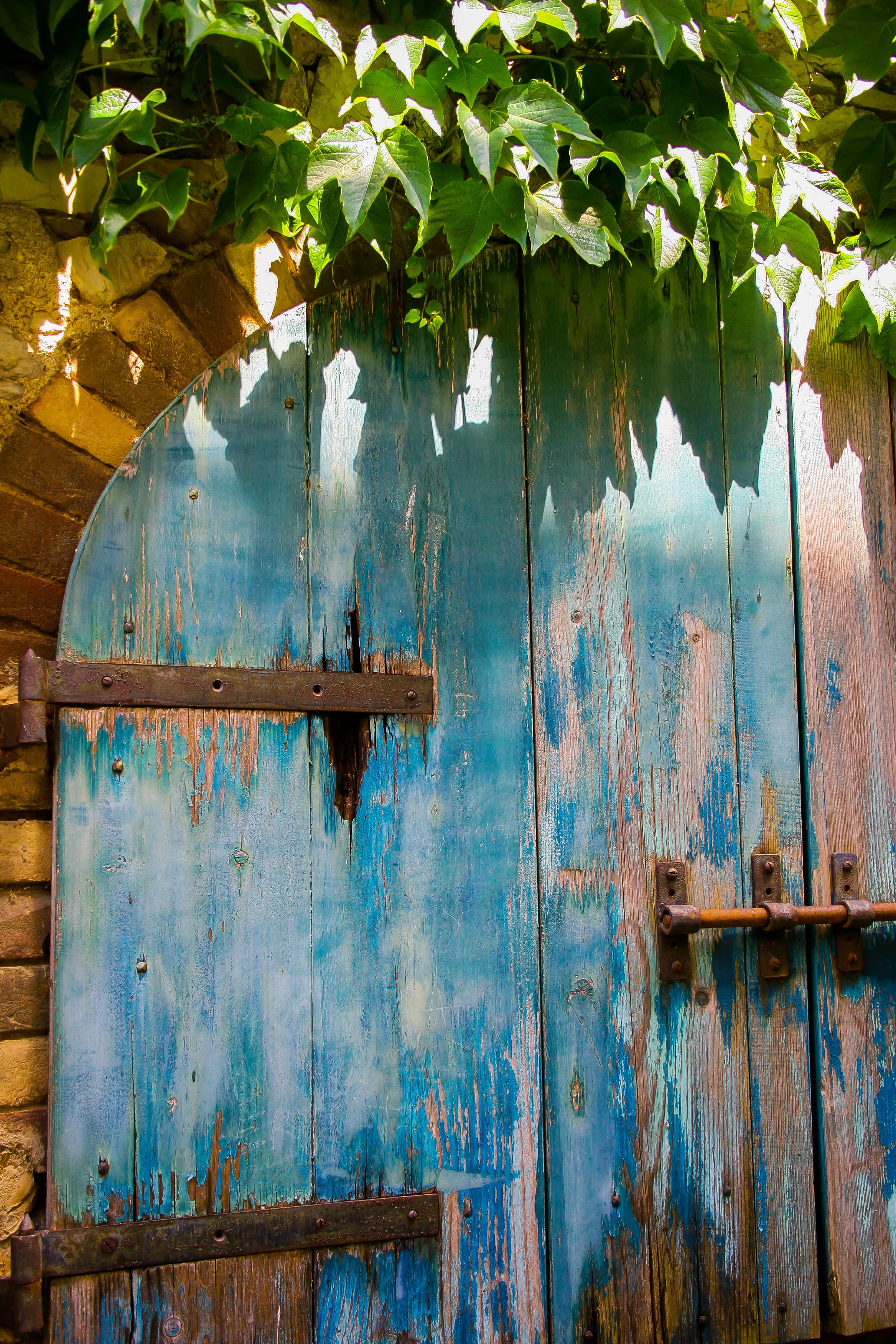 ivy, day, retro, nature, blue, exterior, metal, no people, vintage, style, antique, security, lock, wooden, aged, rusty, dirty, architecture, 2K, weathered, Phone HD Wallpaper