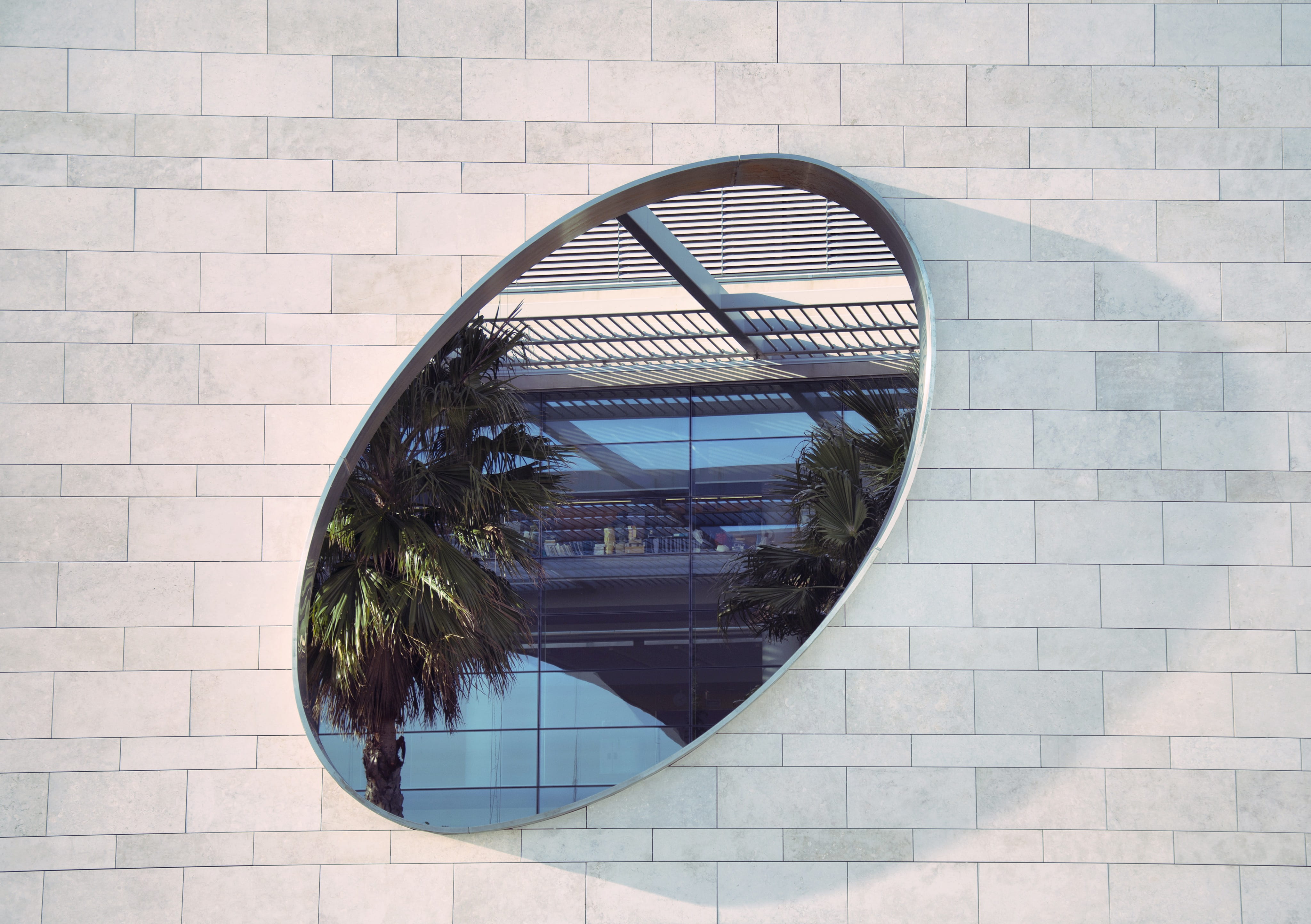 palm, circle, architecture, reflection, trees, design, palm tree, green, wall - Building Feature, nature, pathway, oval, two, glass - Material, geometric shape, HD Wallpaper
