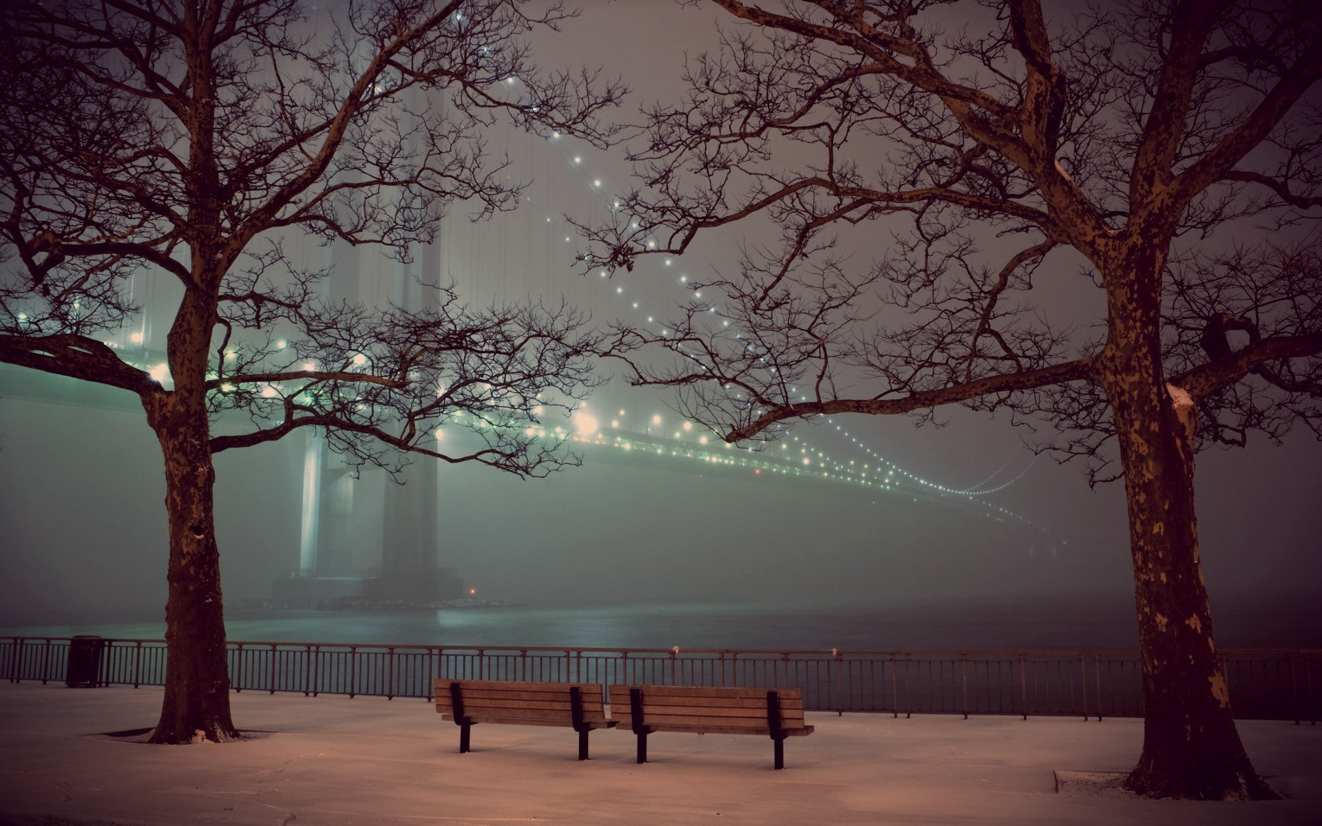 bridge, fence, lights, night, winter, 1080P, trees, snow, bench, HD Wallpaper