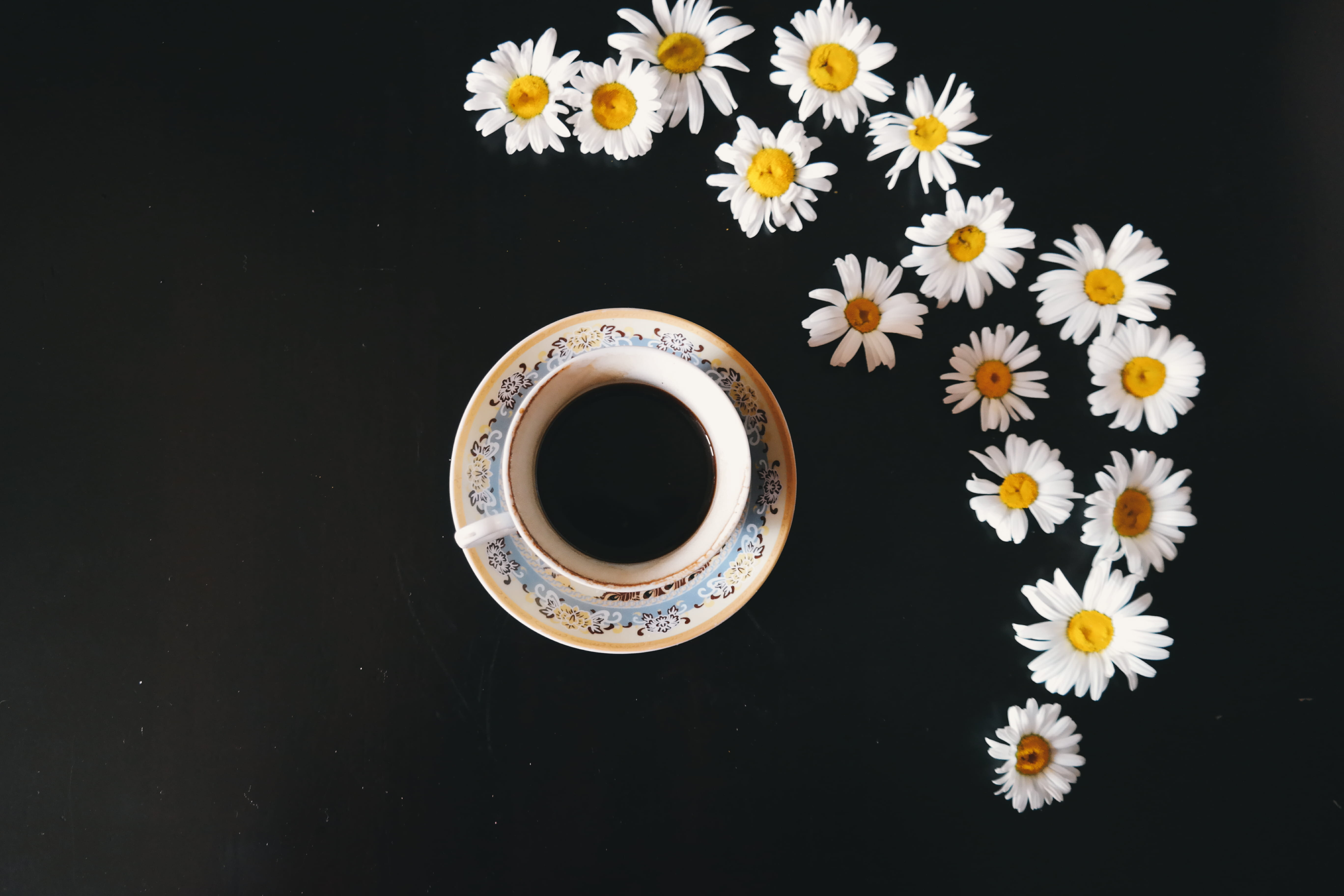 drink, dark, daisies, still life, tea cup, crockery, pollen, flowering plant, mug, food and drink, flower head, cup of coffee, caffeine, black background, HD Wallpaper