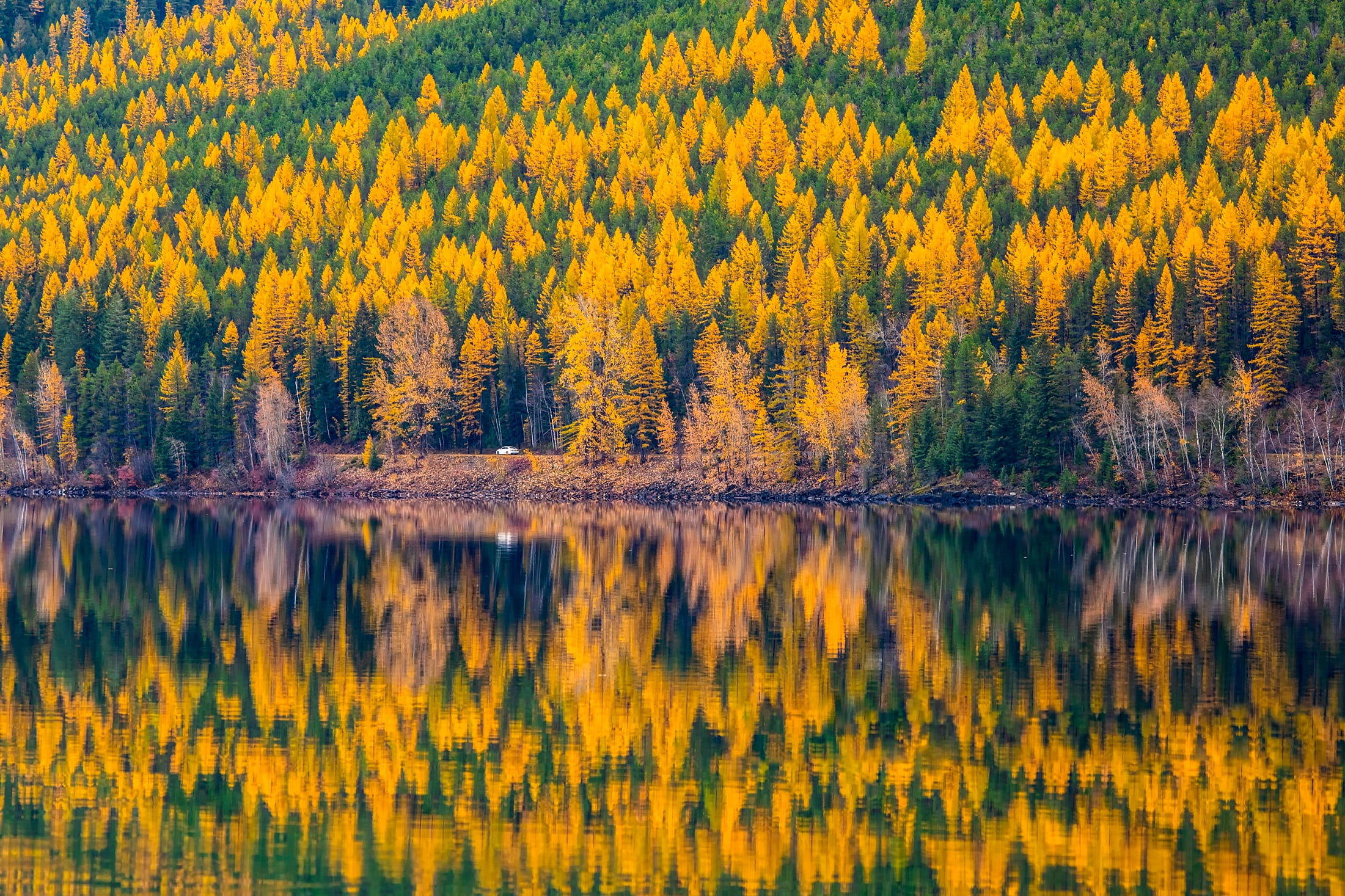 plant, sky, clouds, nature, country, glacier national park, pine woodland, pine tree, reflections, fall, body, no people, petaled, landscape, scenics - nature, HD Wallpaper