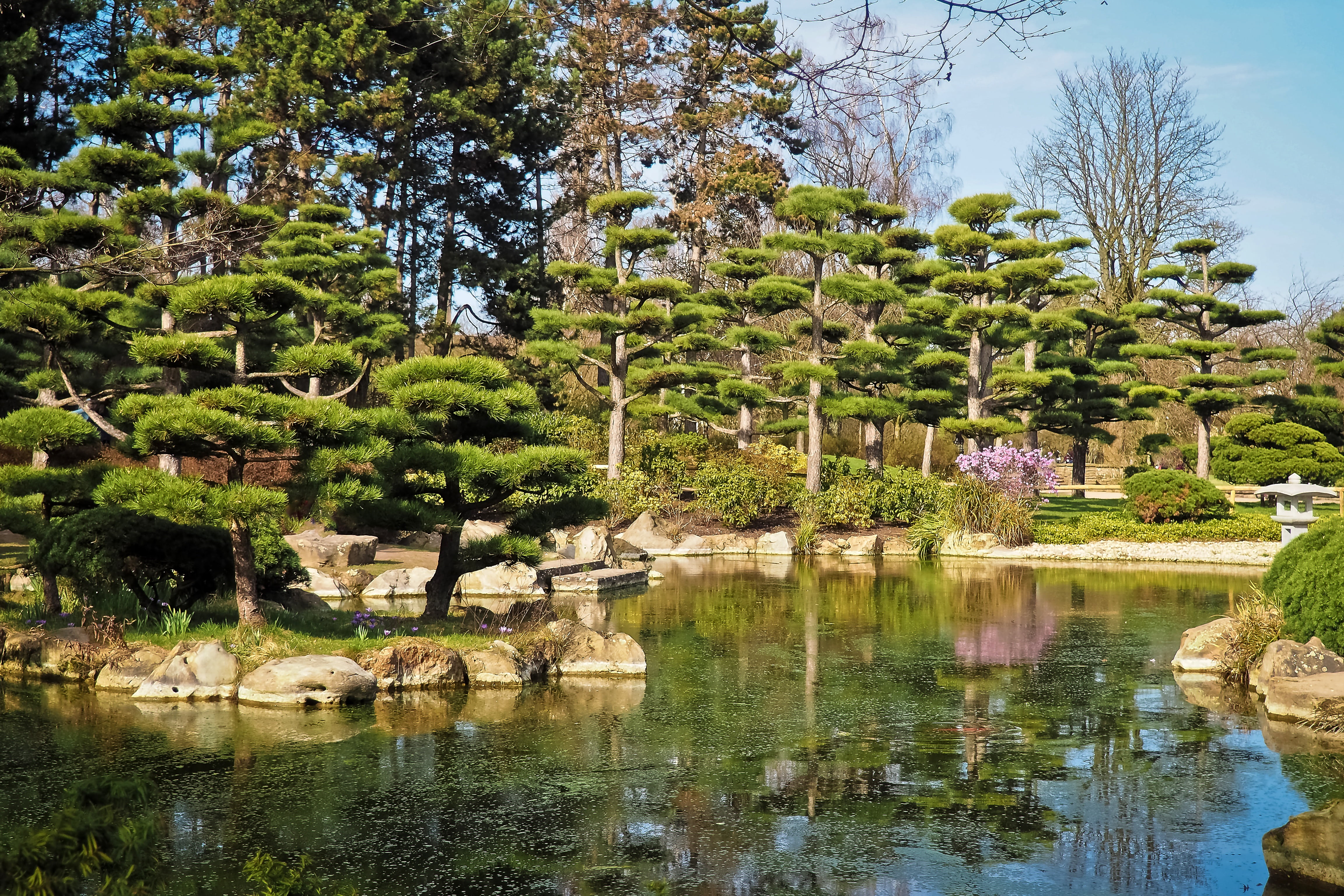 park, green, mood, clouds, idyll, beauty in nature, building, garden, spring, landscape, pond, outdoors, green color, tranquility, lake, growth, atmospheric, HD Wallpaper