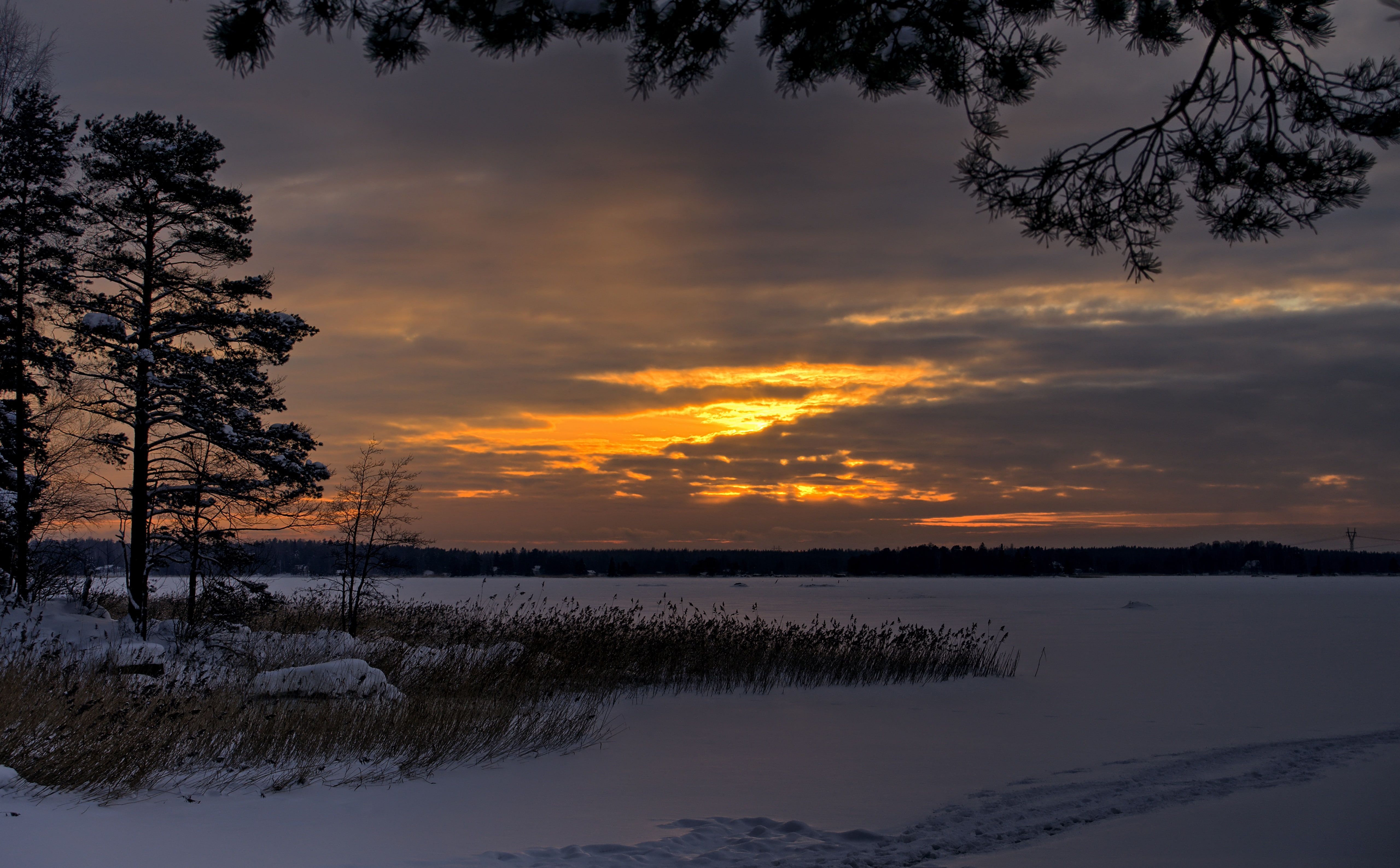 Snow, cold temperature, sky, cloud - sky, Winter, tranquil scene, kotka, 5K, tranquility, idyllic, Southern, leafed, non-urban scene, Evening, tree, sunset, HD Wallpaper