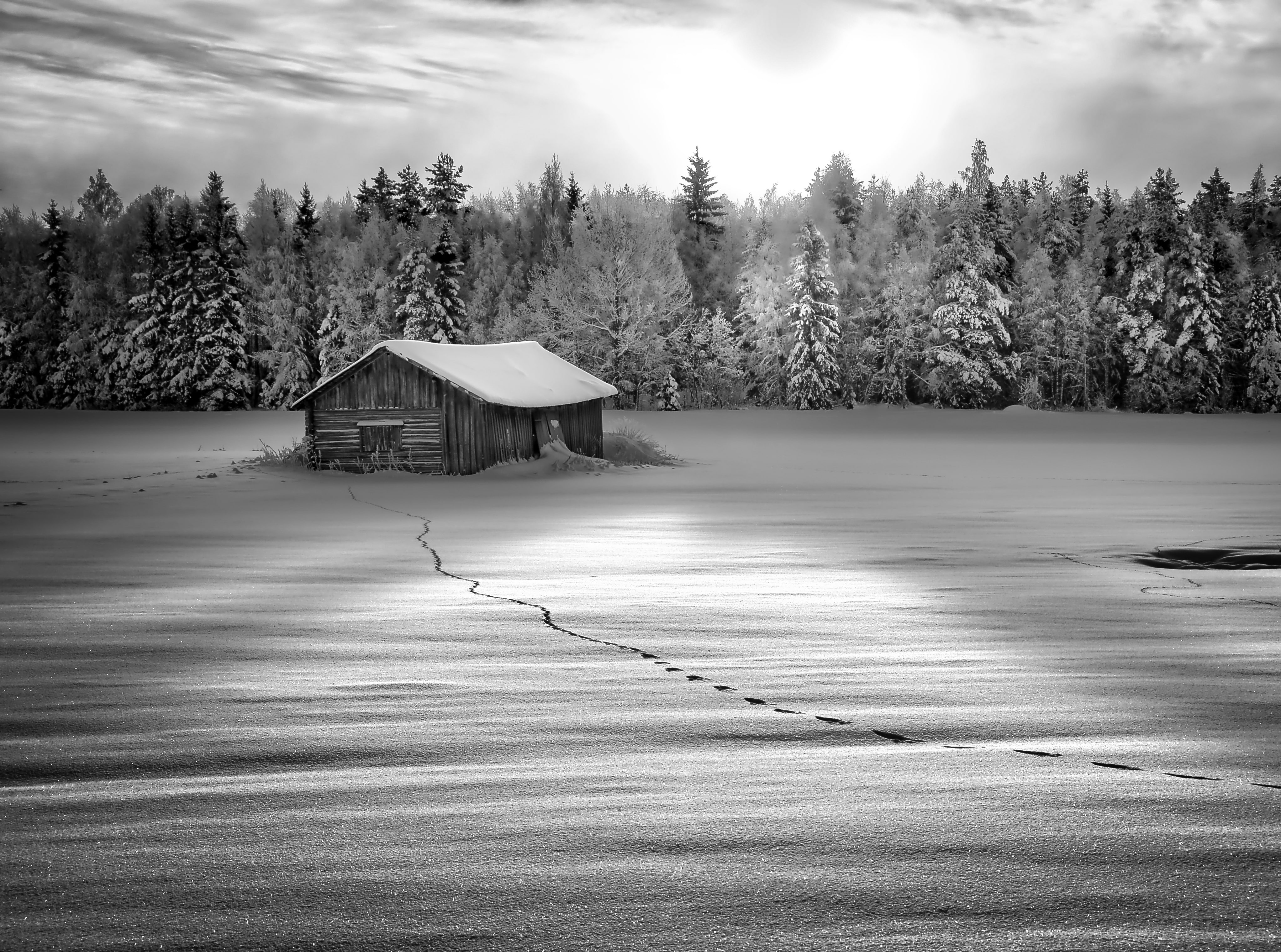 Morning, winter, Finland, no people, beauty in nature, Tracks, black, water, plant, sipilanmaki, sky, tranquil scene, scenics - nature, outdoors, nature, HD Wallpaper