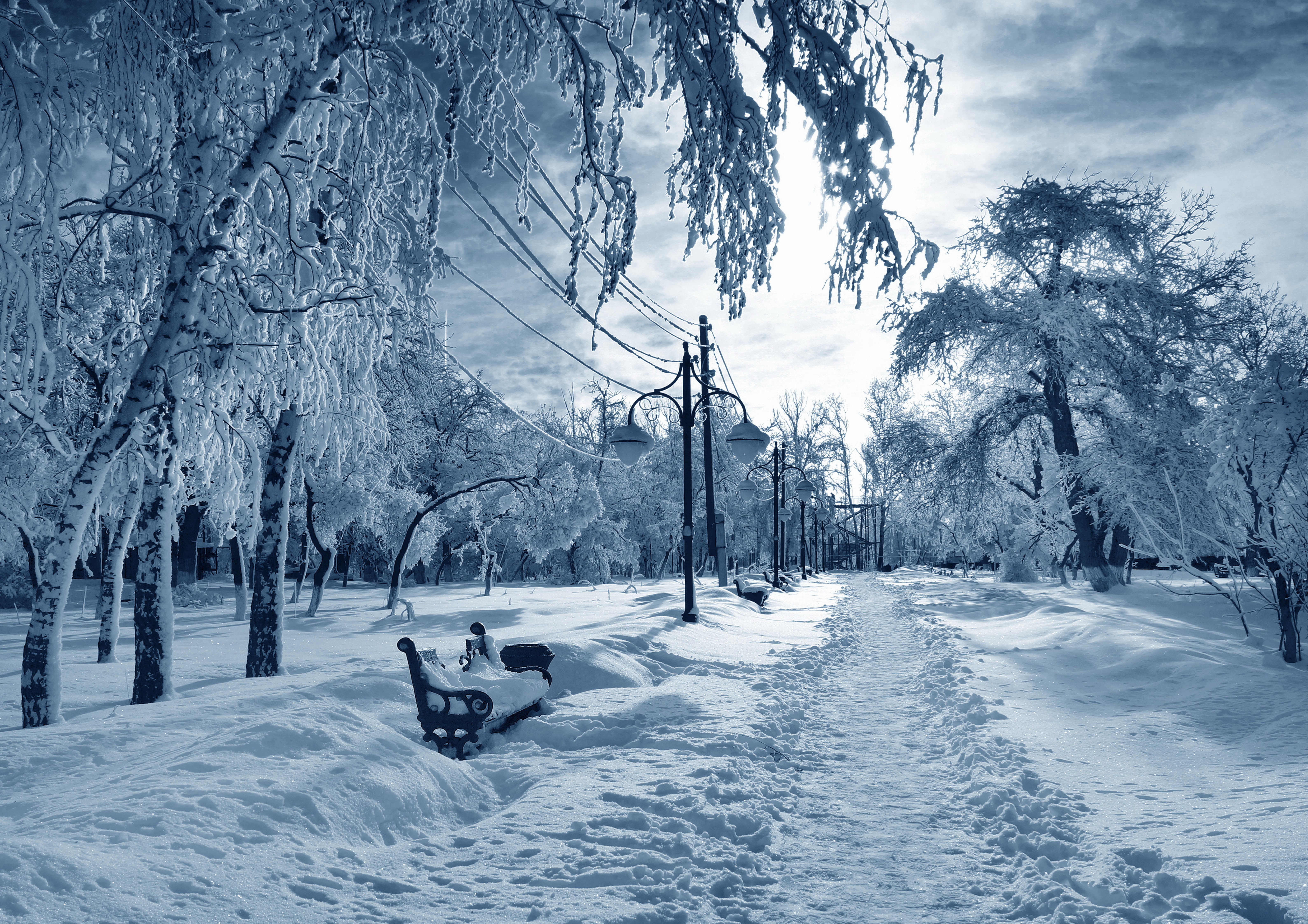 snow, seasons, white, blue, 5K, winter, HD Wallpaper