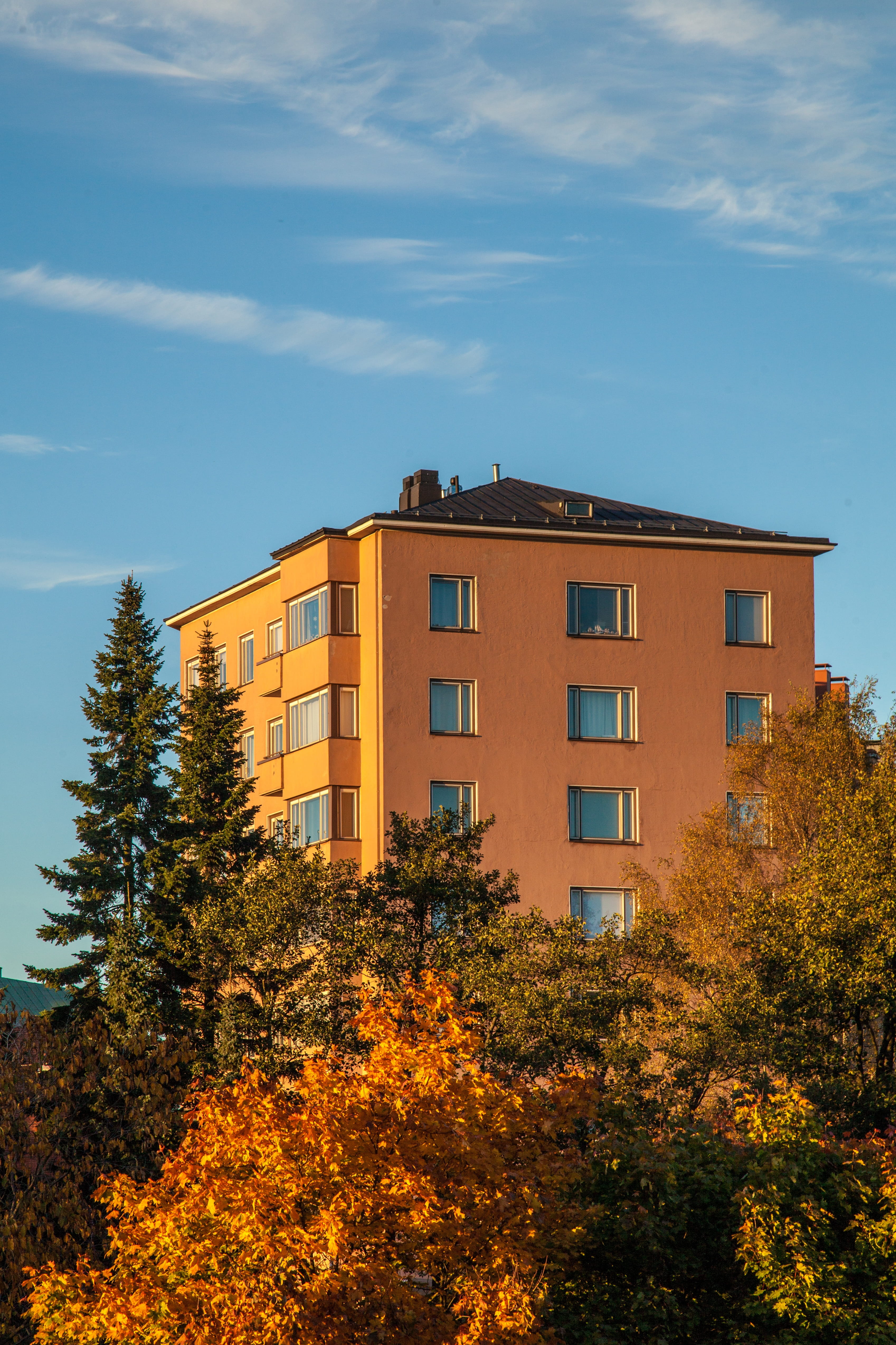 urban, scandinavia, building, house, skyline, exterior, fall foliage, fall colors, plant, residential district, city, fall, outdoor, europe, building exterior, Phone HD Wallpaper