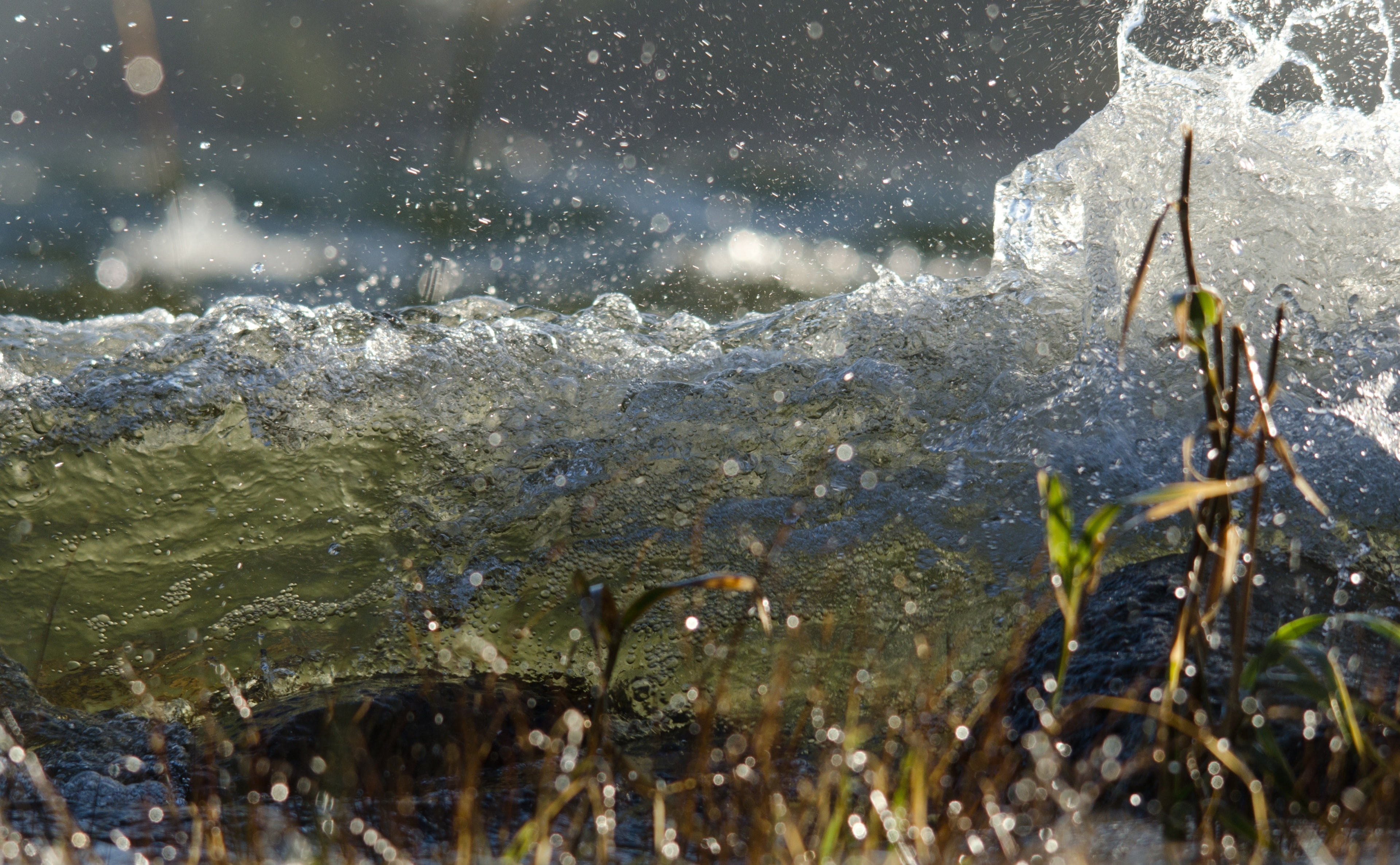 outdoors, flowing, Wave, 4K, Green, rock, close-up, sunlight, rock - object, greenwater, Finland, flowing water, no people, beauty in nature, plant, kotka, HD Wallpaper