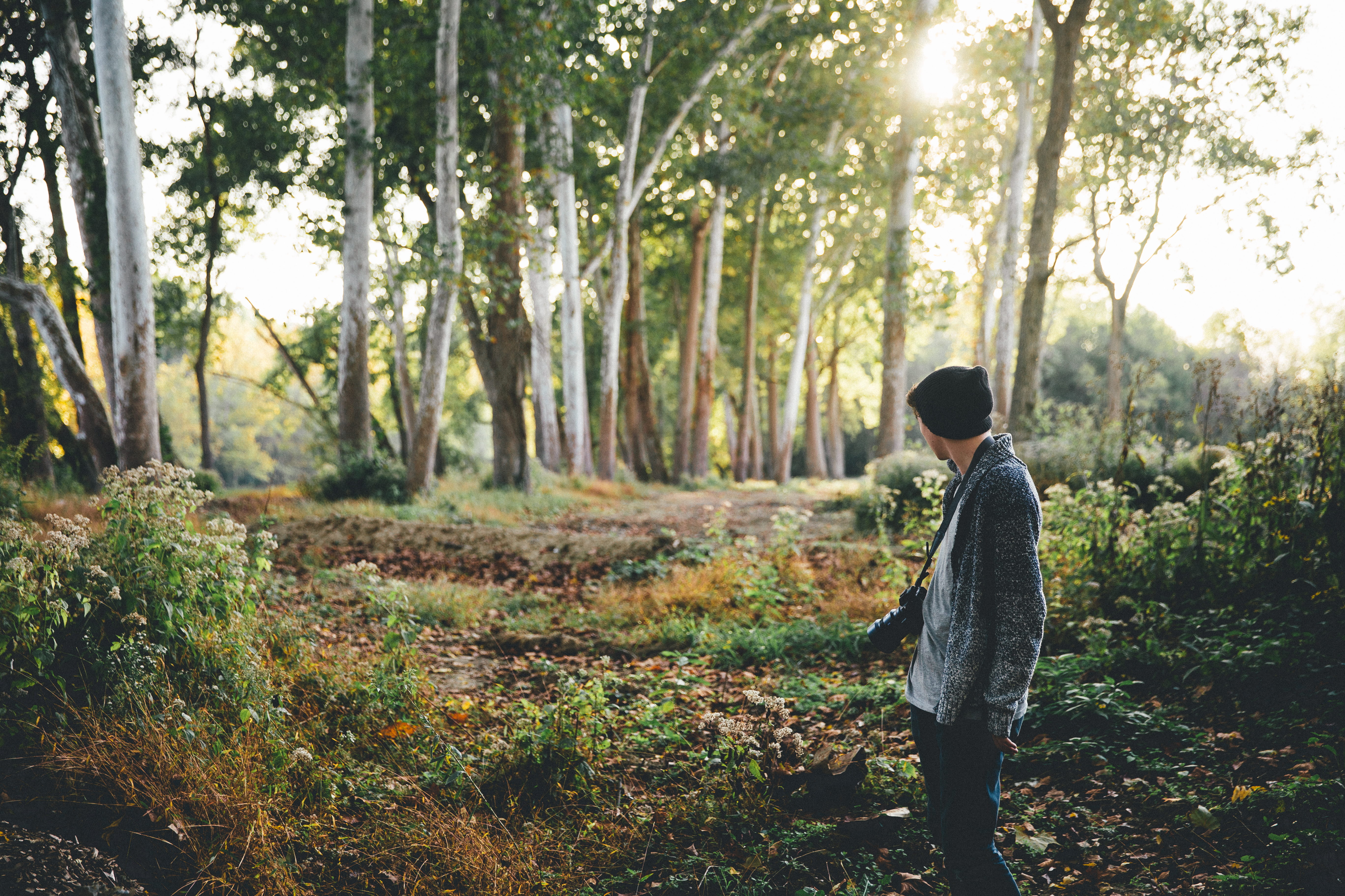near, beauty in nature, strap, standing, land, outdoors, golden hour, woodland, tree, casual clothing, leisure activity, full length, growth, plant, sunlight, HD Wallpaper