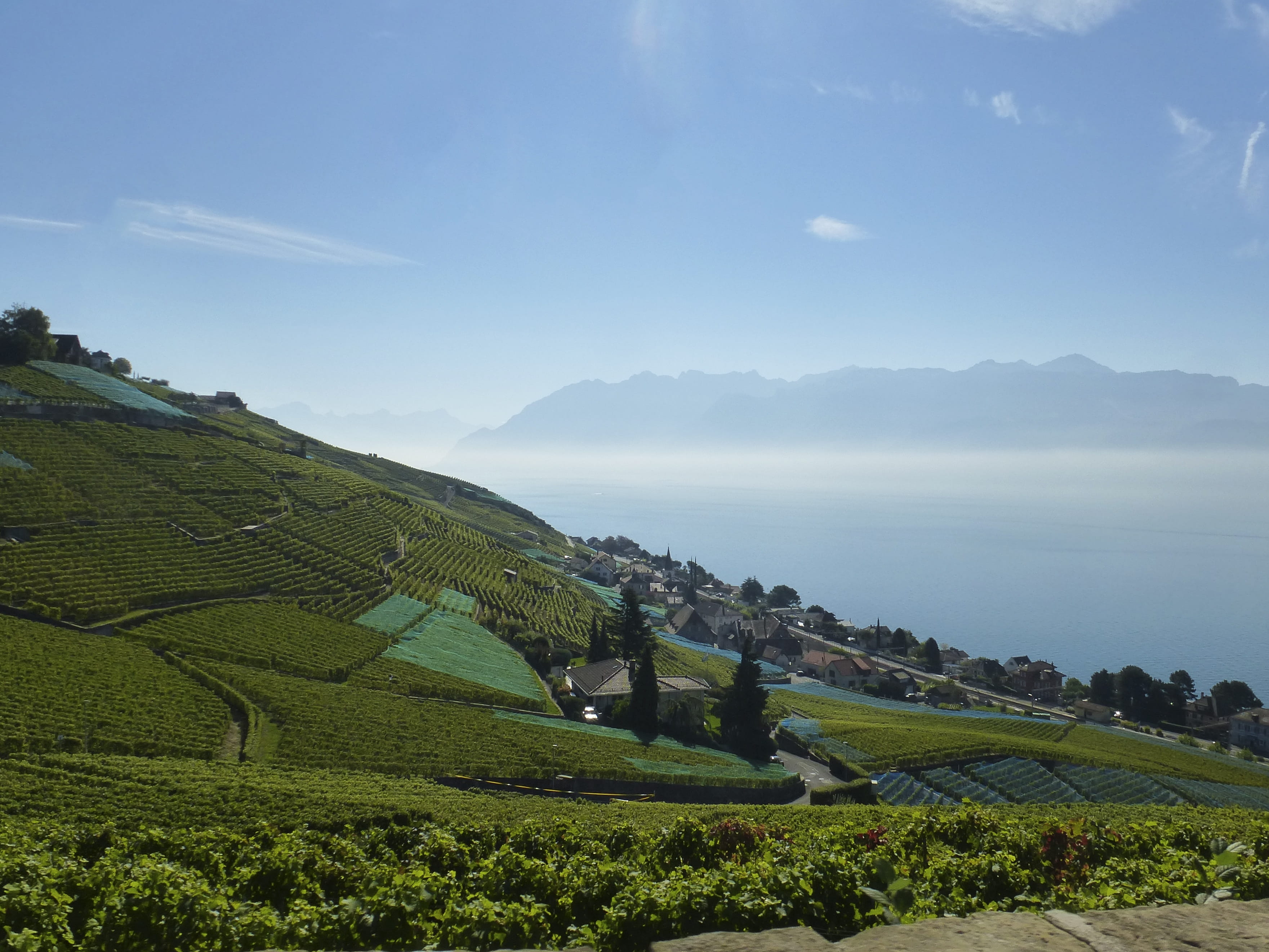 day, tranquility, non-Urban Scene, mountain, scenics - nature, environment, Landscape, hill, farm, tranquil scene, outdoors, tea crop, sky, lake geneva, HD Wallpaper