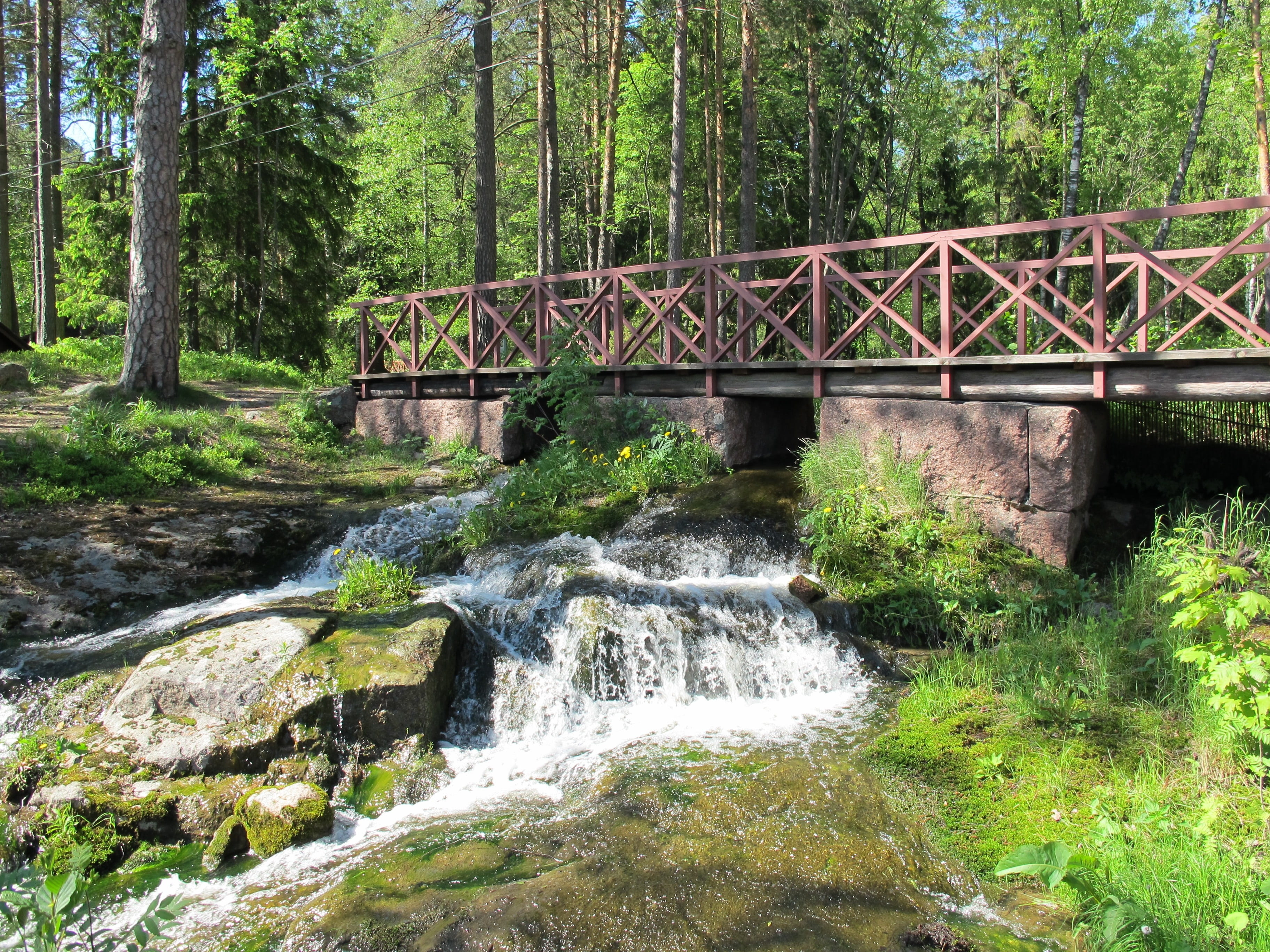 flowing water, flowing, plant, architecture, beauty in nature, no people, power in nature, footbridge, water, forest, nature, green color, motion, langinkoski, HD Wallpaper