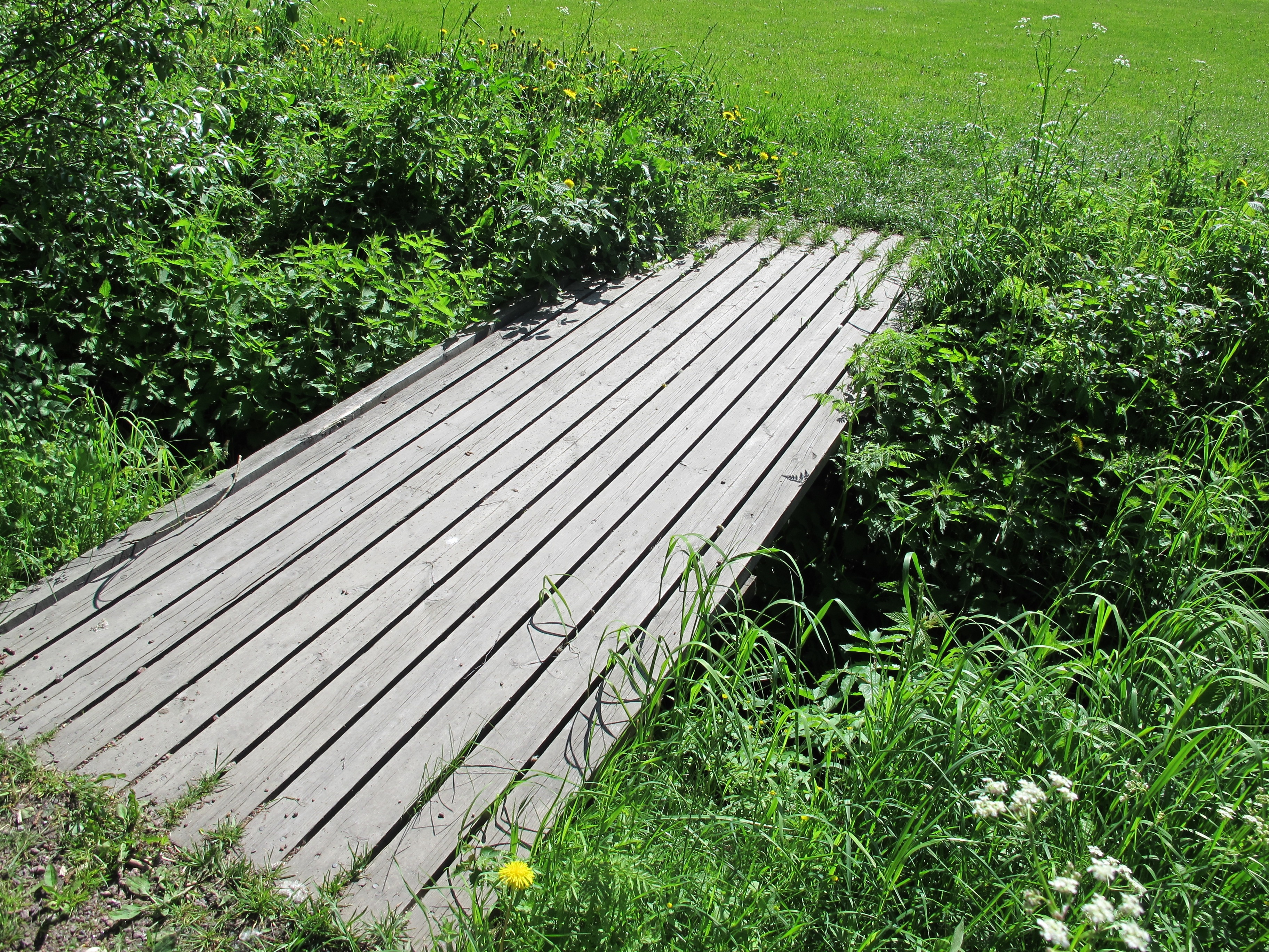 environmental conservation, field, bridge, nature, wood - material, tranquility, environment, langinkoski, beauty in nature, fuel and power generation, HD Wallpaper
