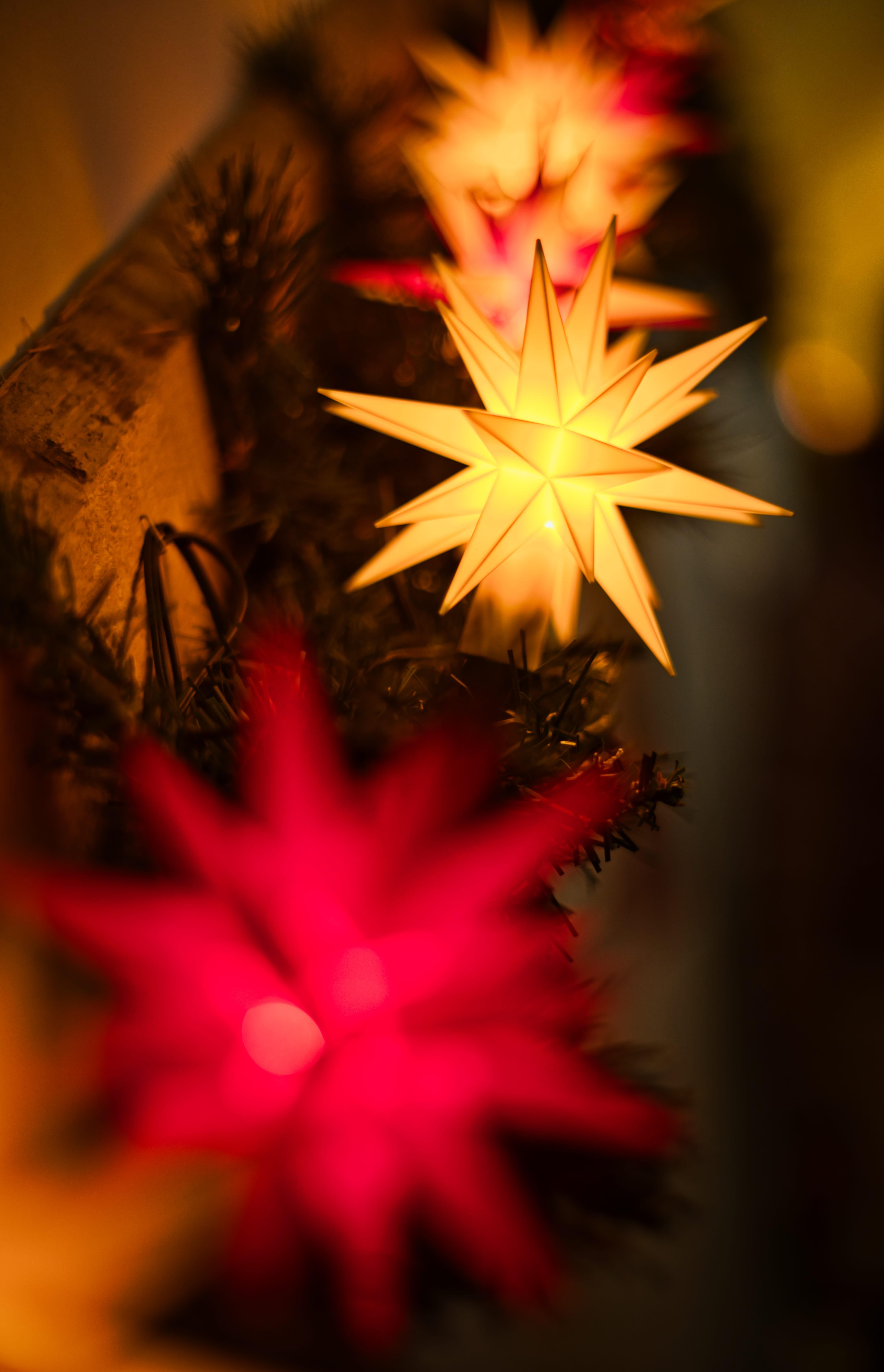 bookeh, celebration event, indoors, event, holiday, christmas ornament, görlitz, germany, hd, christmas lights, christmas tree, 5K, nature, celebration, Phone HD Wallpaper