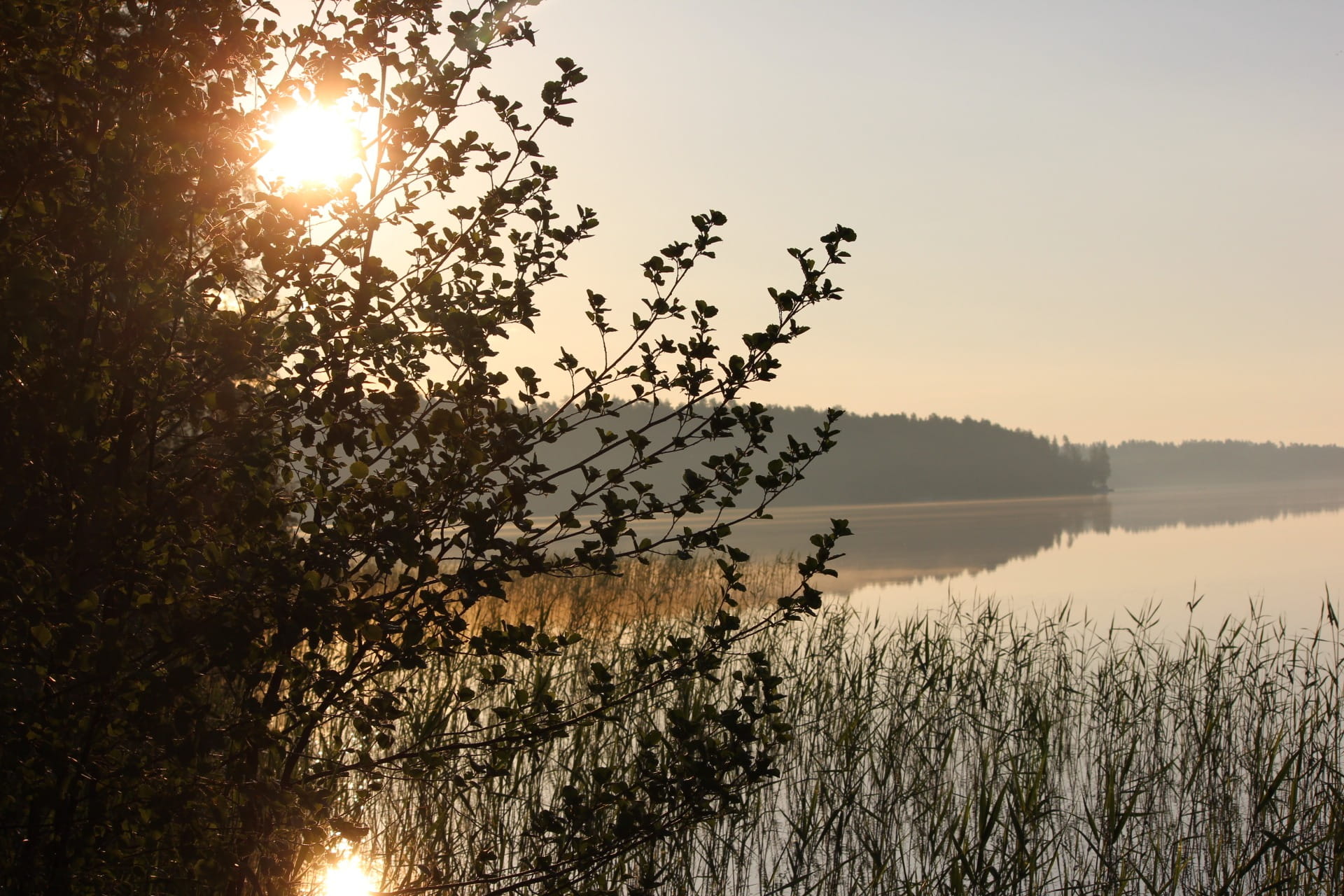lens flare, growth, tranquil scene, sunbeam, idyllic, reflection, midsummer, beauty in nature, lake, sky, sunset, silhouette, plant, tree, outdoors, 1080P, HD Wallpaper