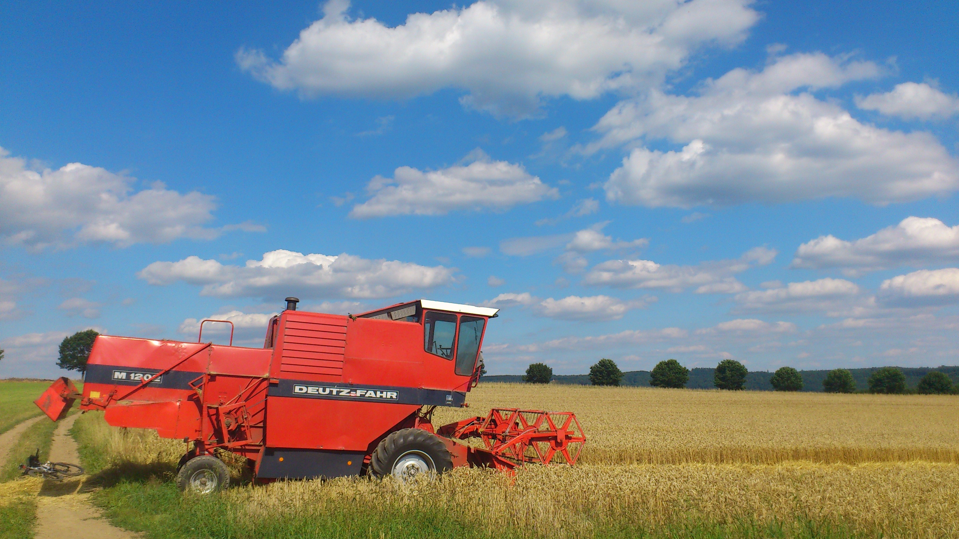 plant, ear, threshing, environment, land, bauer, westerwald, rural scene, midsummer, growth, harvest, grain, nature, landscape, wide, no people, harvesting, HD Wallpaper