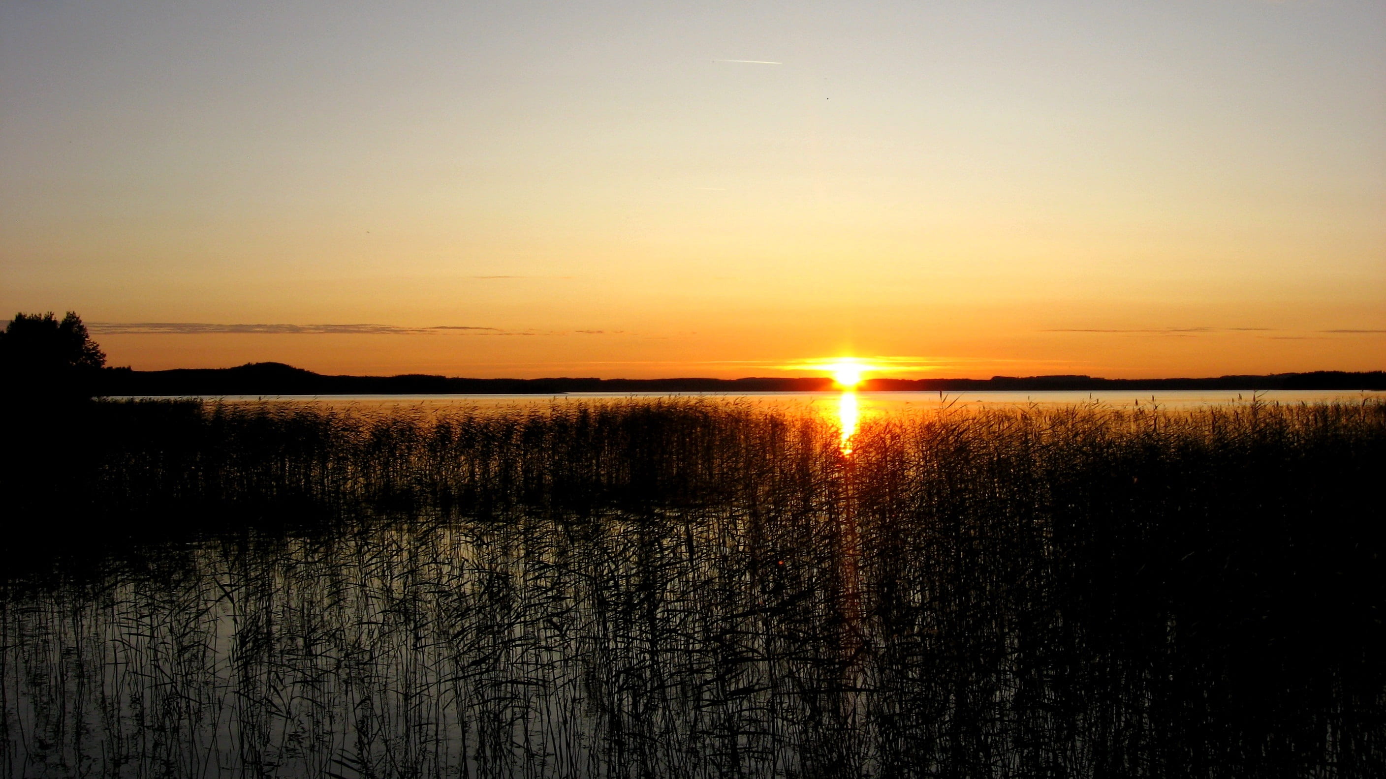 lake, afterglow, scenics - nature, plant, tranquil scene, romantic, outdoors, midsummer, idyllic, abendstimmung, sun, idyll, sunlight, lens flare, beauty in nature, HD Wallpaper