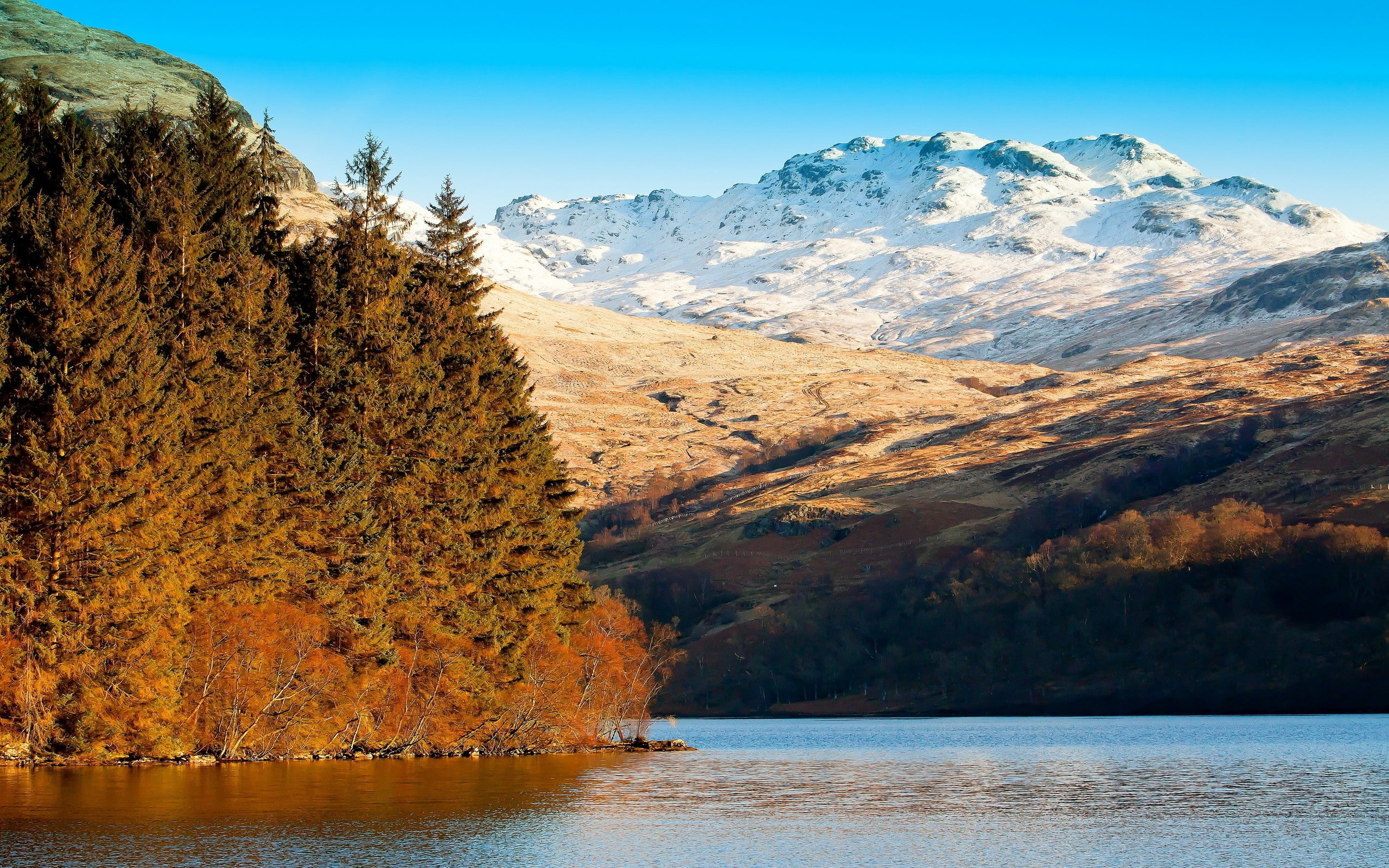 pine trees, 2K, mountains, snowy peak, nature, river, fall, HD Wallpaper