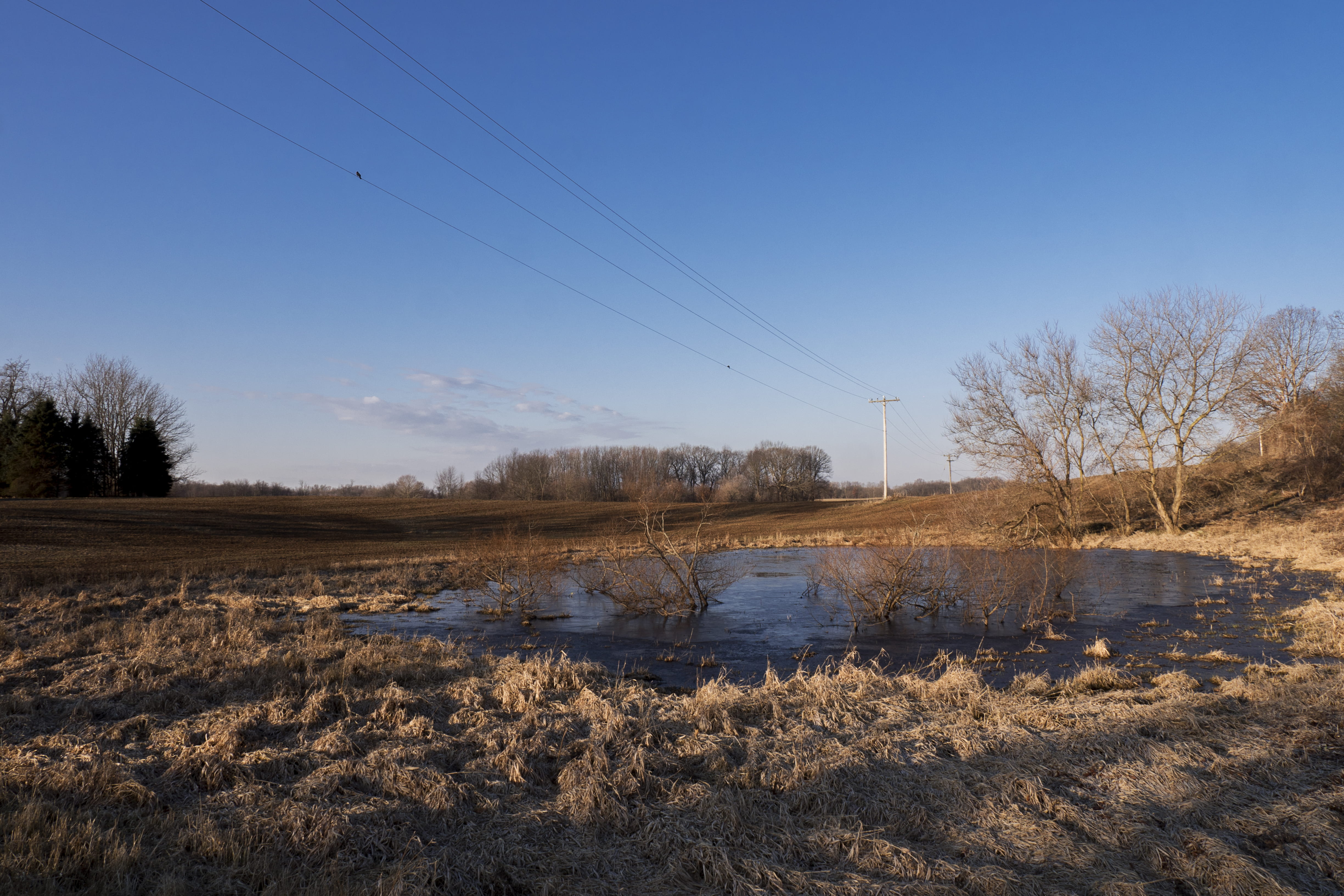 telephone line, beauty in nature, tree, blue, landscape, clear, day, farmland, clear sky, wires, land, country, water, battle creek, gold, nature, golden, HD Wallpaper
