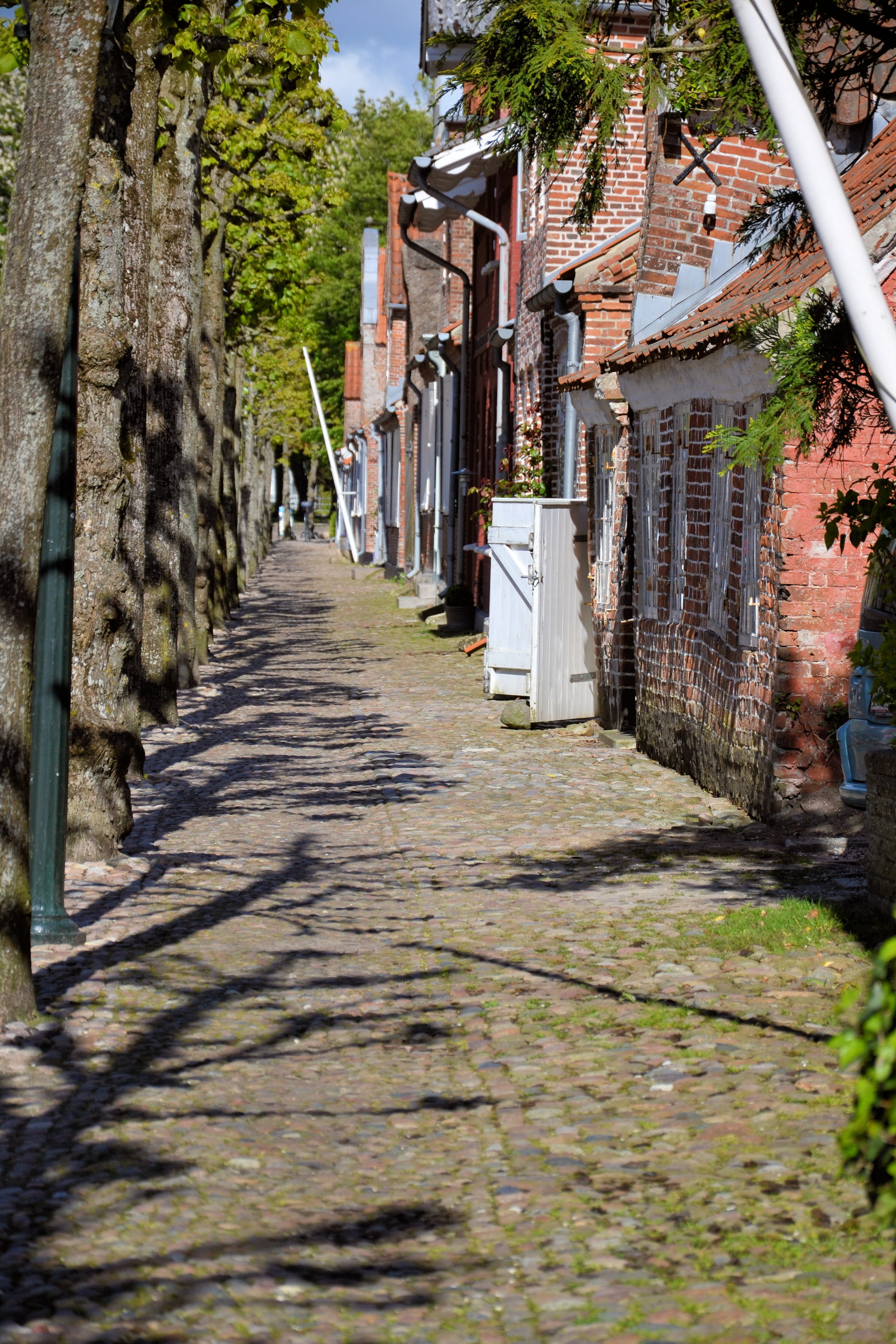 plant, city, building, historically, residential district, direction, day, outdoors, castle street, the way forward, tønder, brick houses, house, narrow, Phone HD Wallpaper
