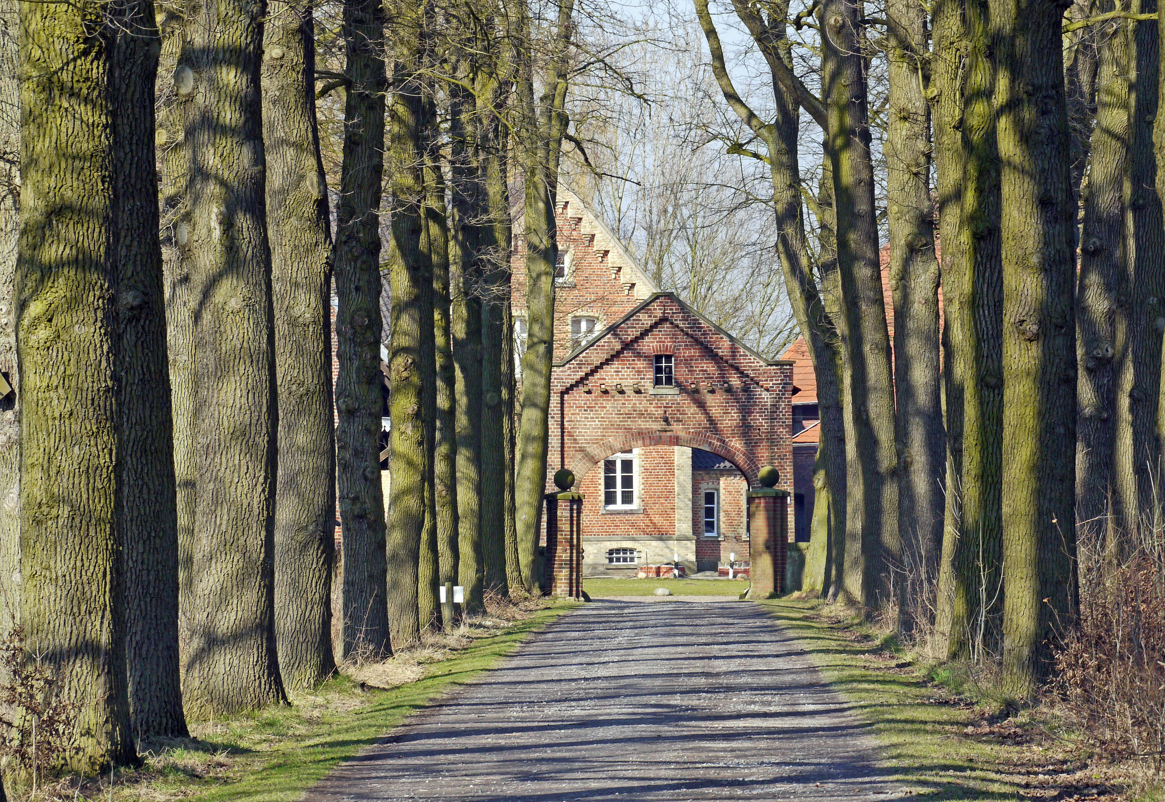 trunk, agriculture, germany, nature, large-bauer, clinker, road, land, münsterland, manor, day, architecture, the way forward, gräftenhof, concrete, oak avenue, HD Wallpaper