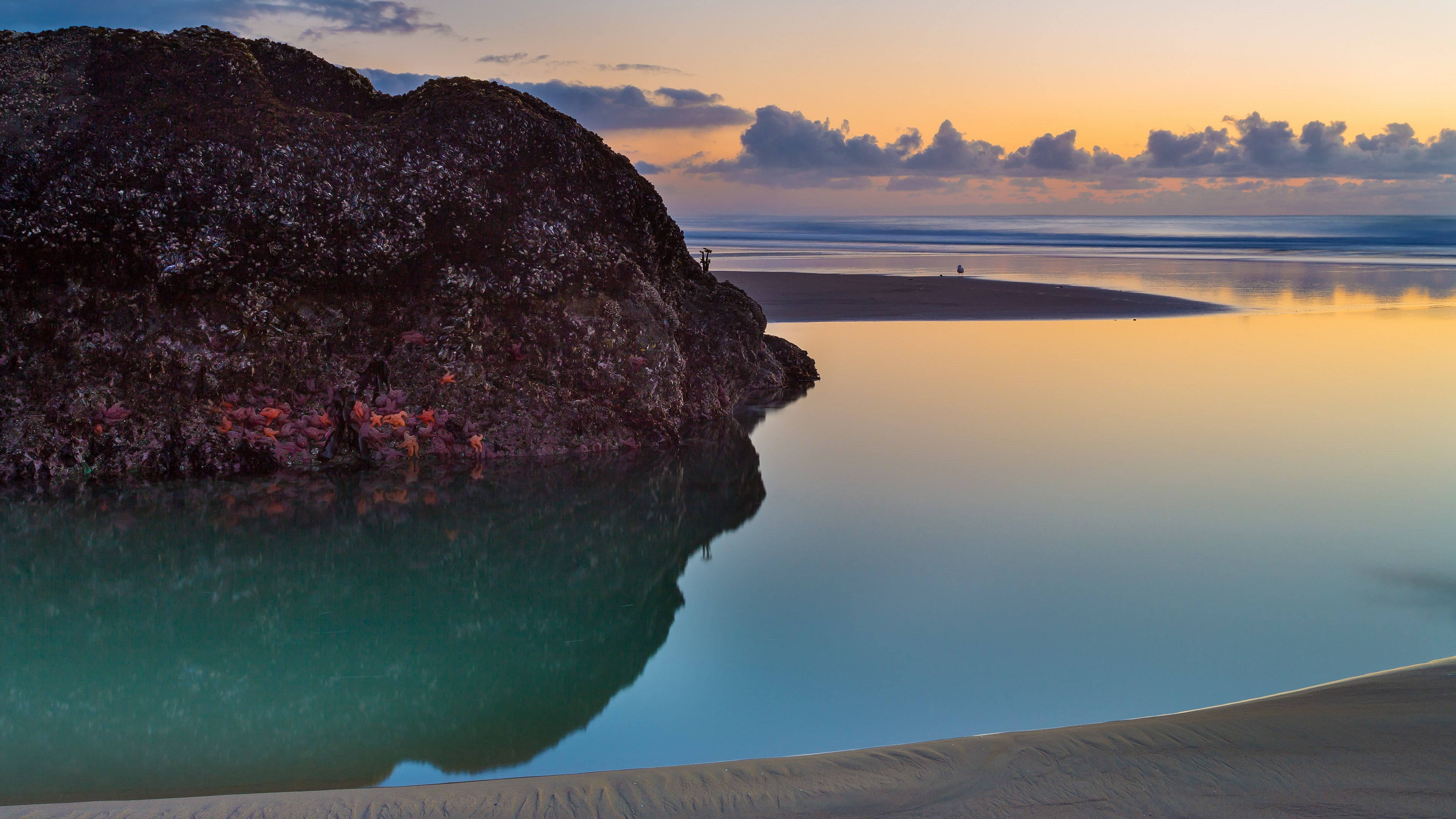 nature  jpg 3840x2160, 4K, HD Wallpaper