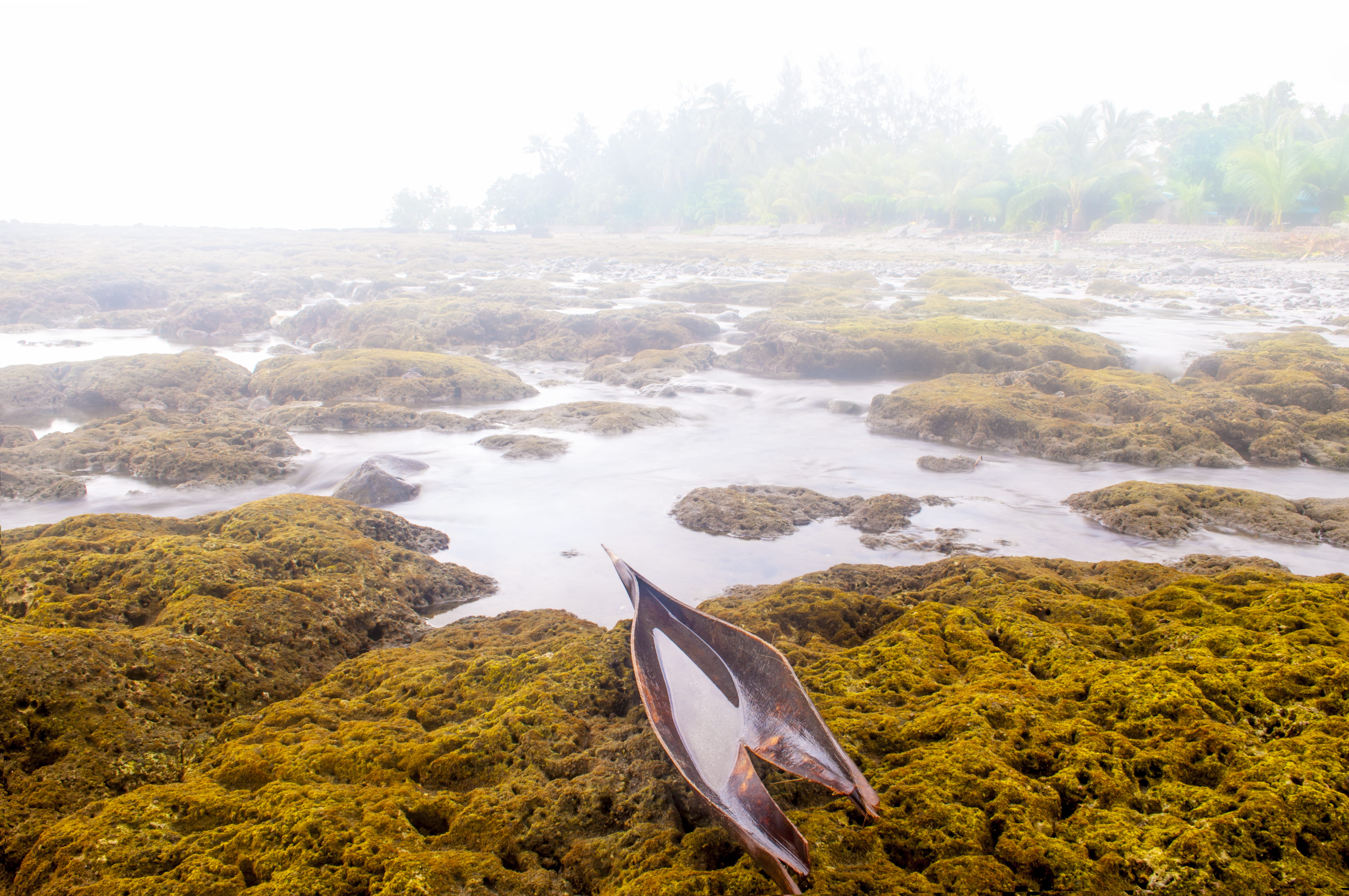 marine, 4K, beauty in nature, weather, sea, island, philippines, vertebrate, tranquility, misty beach, plant, mist, fish, animals in the wild, non-urban scene, HD Wallpaper
