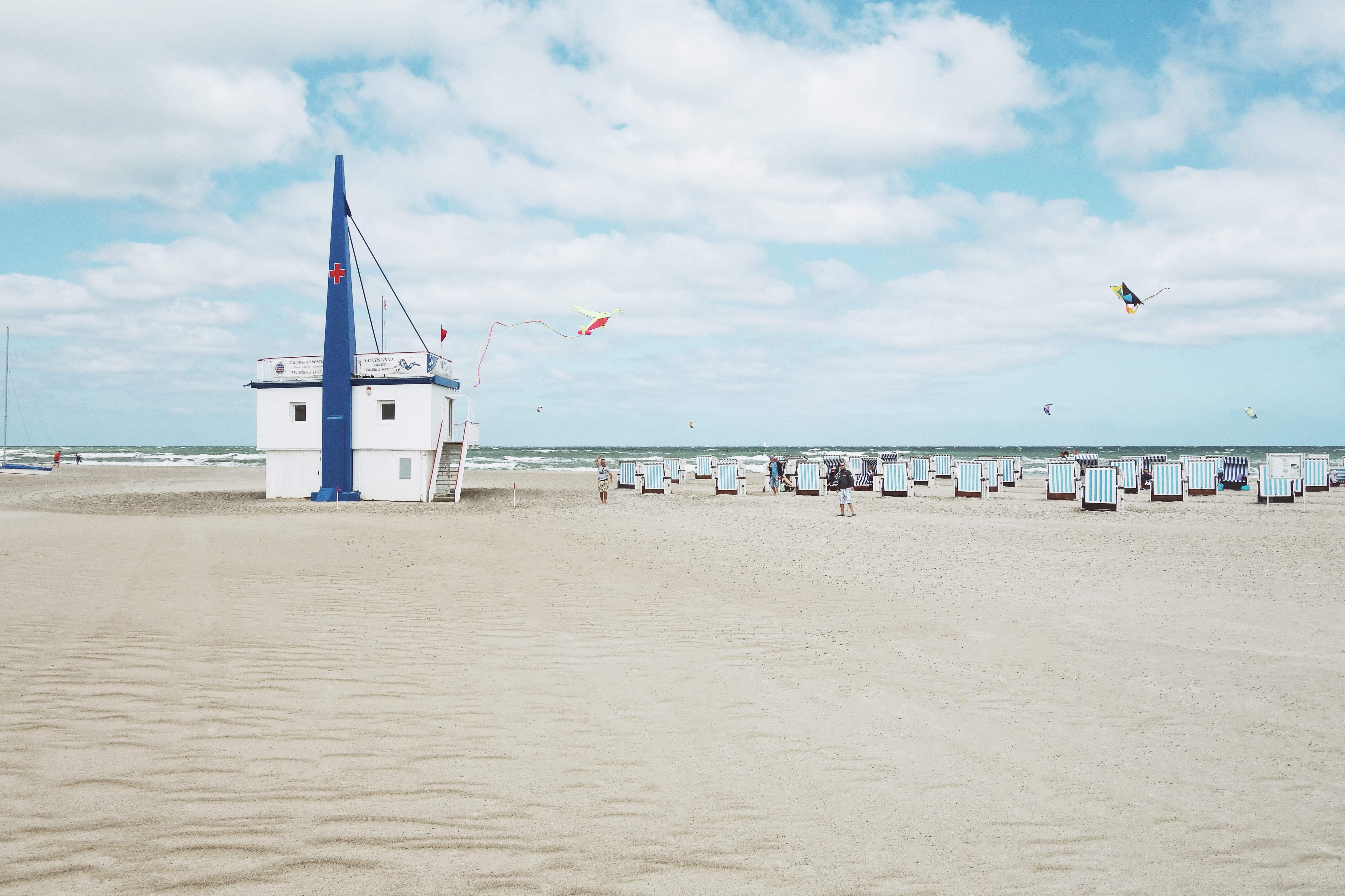 bird, sand, balticsea, flying, vertebrate, animal, warnemünde, water, person, sky, real people, summer, horizon over water, incidental people, nature, meer, HD Wallpaper