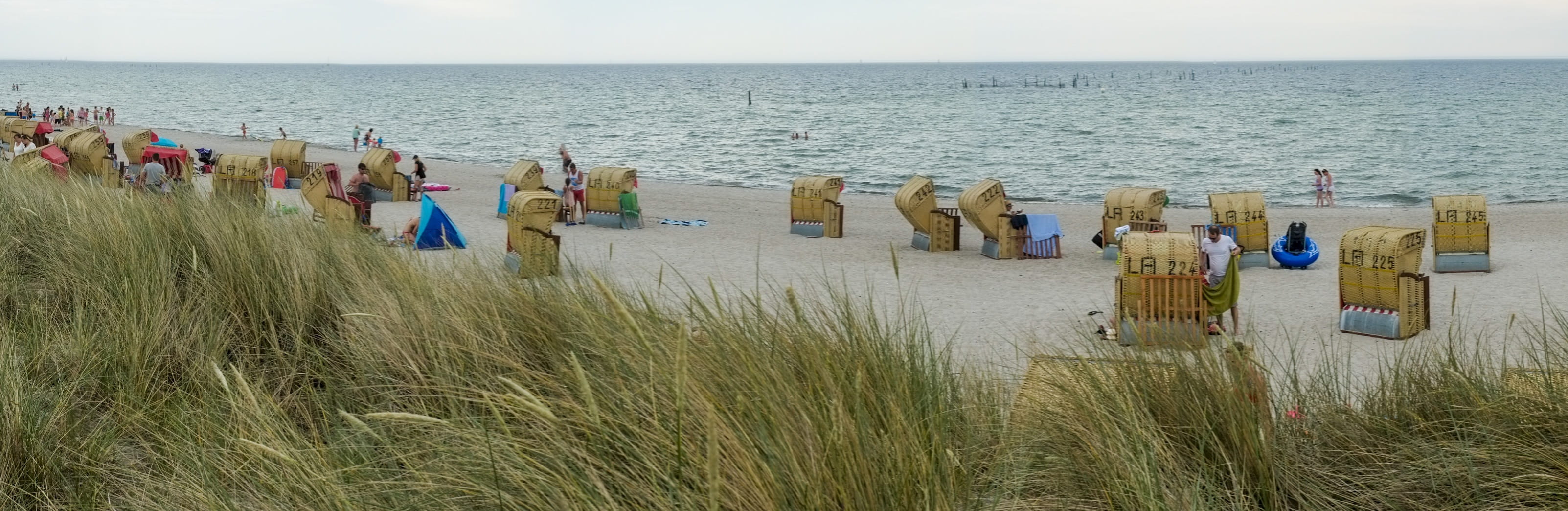 holiday, horizon over water, land, nature, crowd, ostsee, tranquility, day, deutschland, beauty in nature, strandkorb, vacations, 2K, group of people, HD Wallpaper
