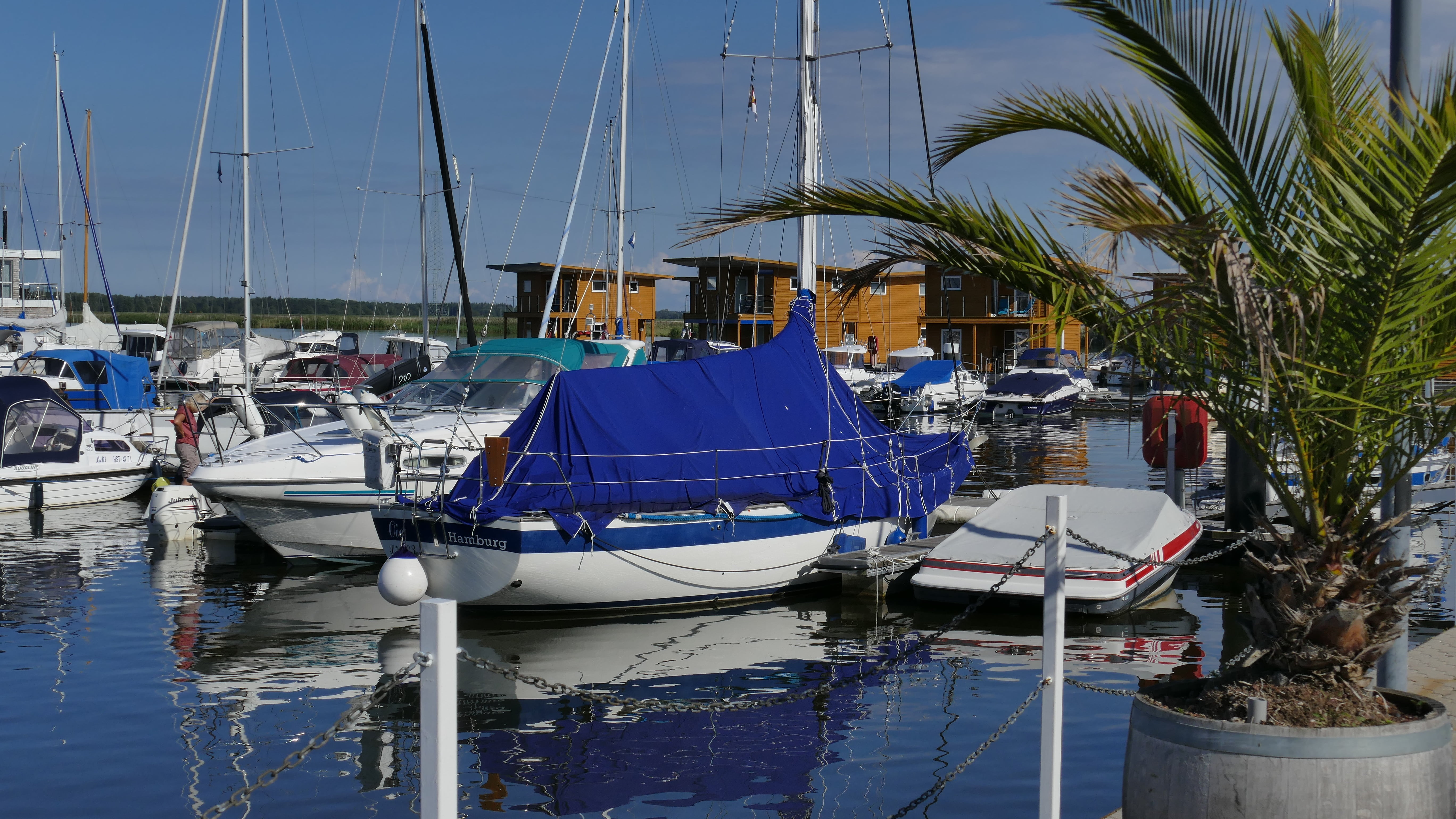 blue, boot, mood, sea, coast, nautical vessel, summer, powerboat, holiday, moored, yacht, booked, nature, tree, sky, rope, blue water, anchored, landscape, HD Wallpaper