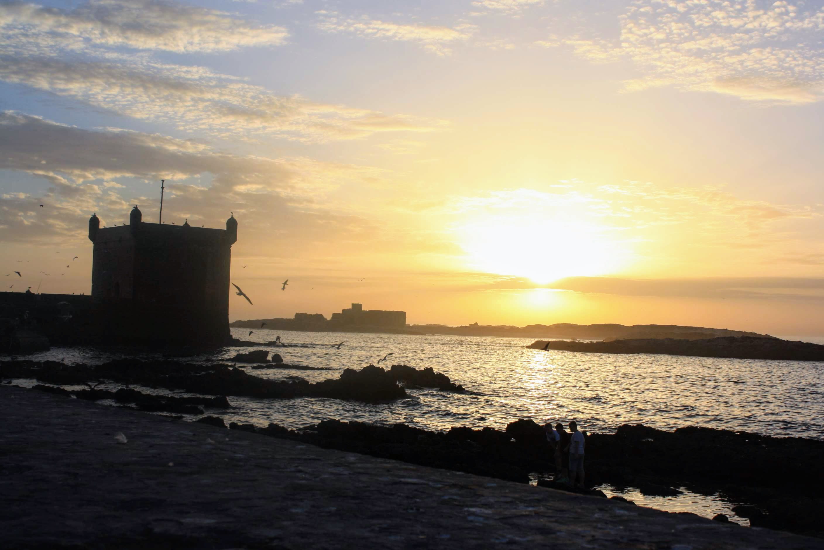 seagulls, beach, morocco, fortress, built structure, outdoors, building exterior, sonnenuntergang, no people, sunlight, idyllic, sky, cloud - sky, sea, HD Wallpaper