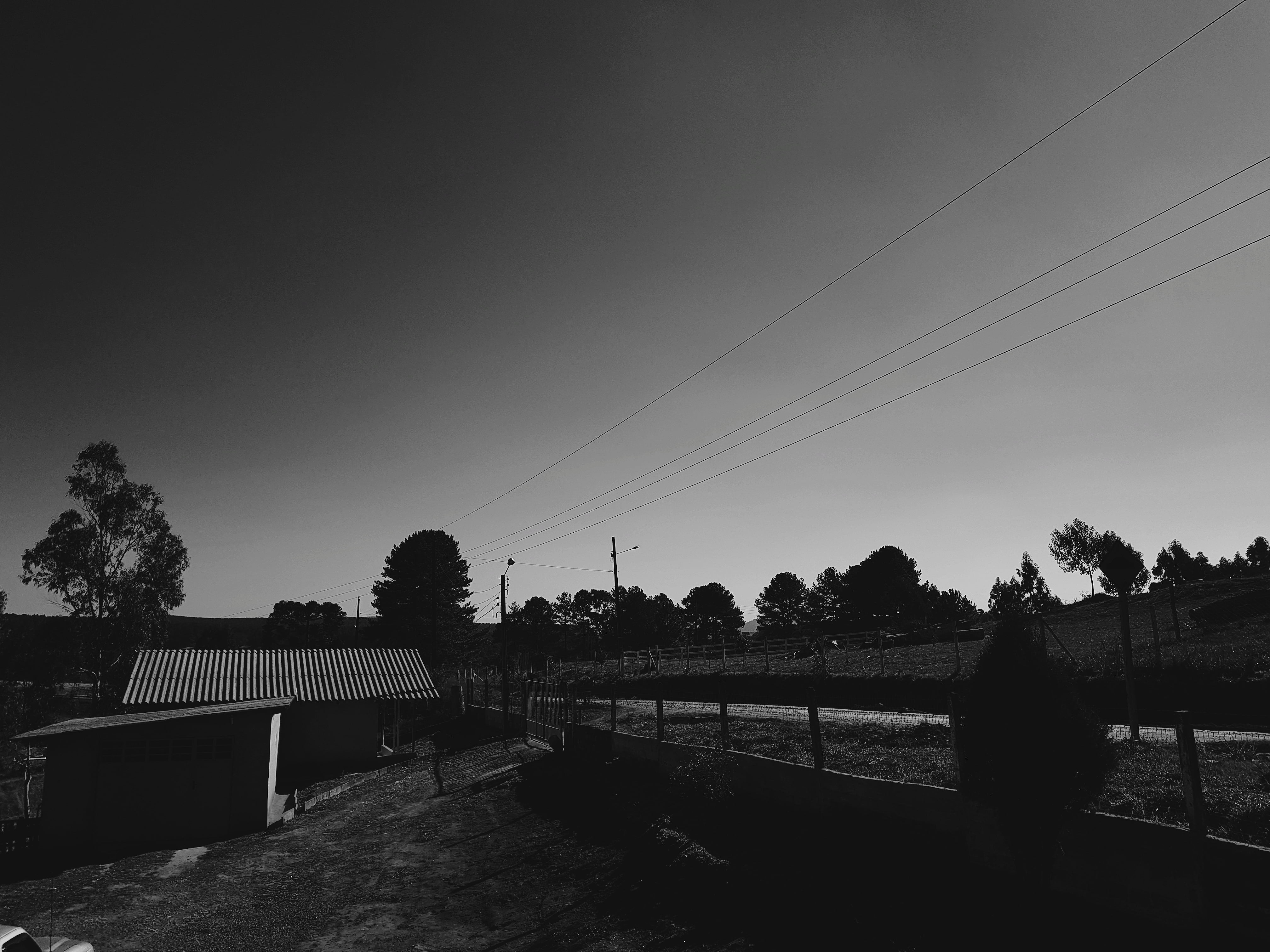 4K, fence, sky, cable, dusk, connection, power supply, plant, outdoors, environment, electricity pylon, boundary, transportation, barrier, nature, tree, HD Wallpaper