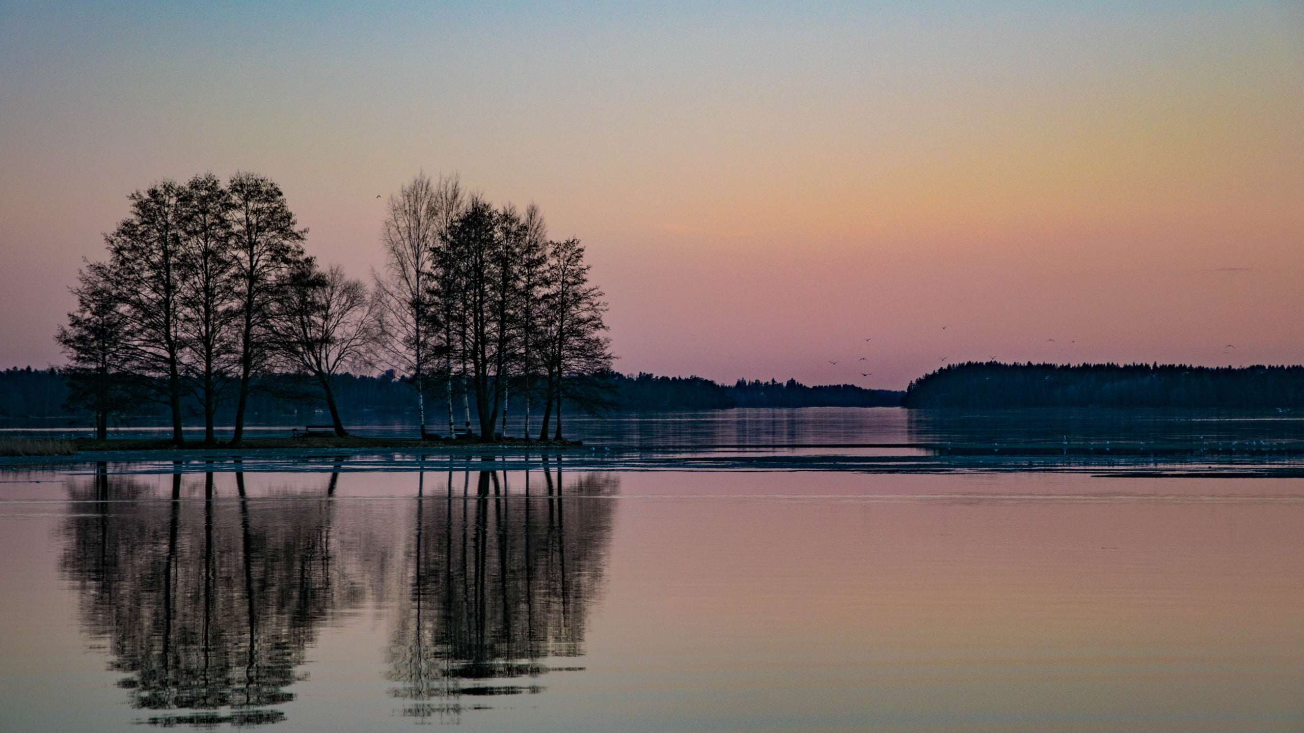 tree, scenics - nature, tranquility, white, plant, waterfront, silhouette, trees, Järvenpää, concrete, Finland, no people, beauty in nature, lake, 2K, HD Wallpaper