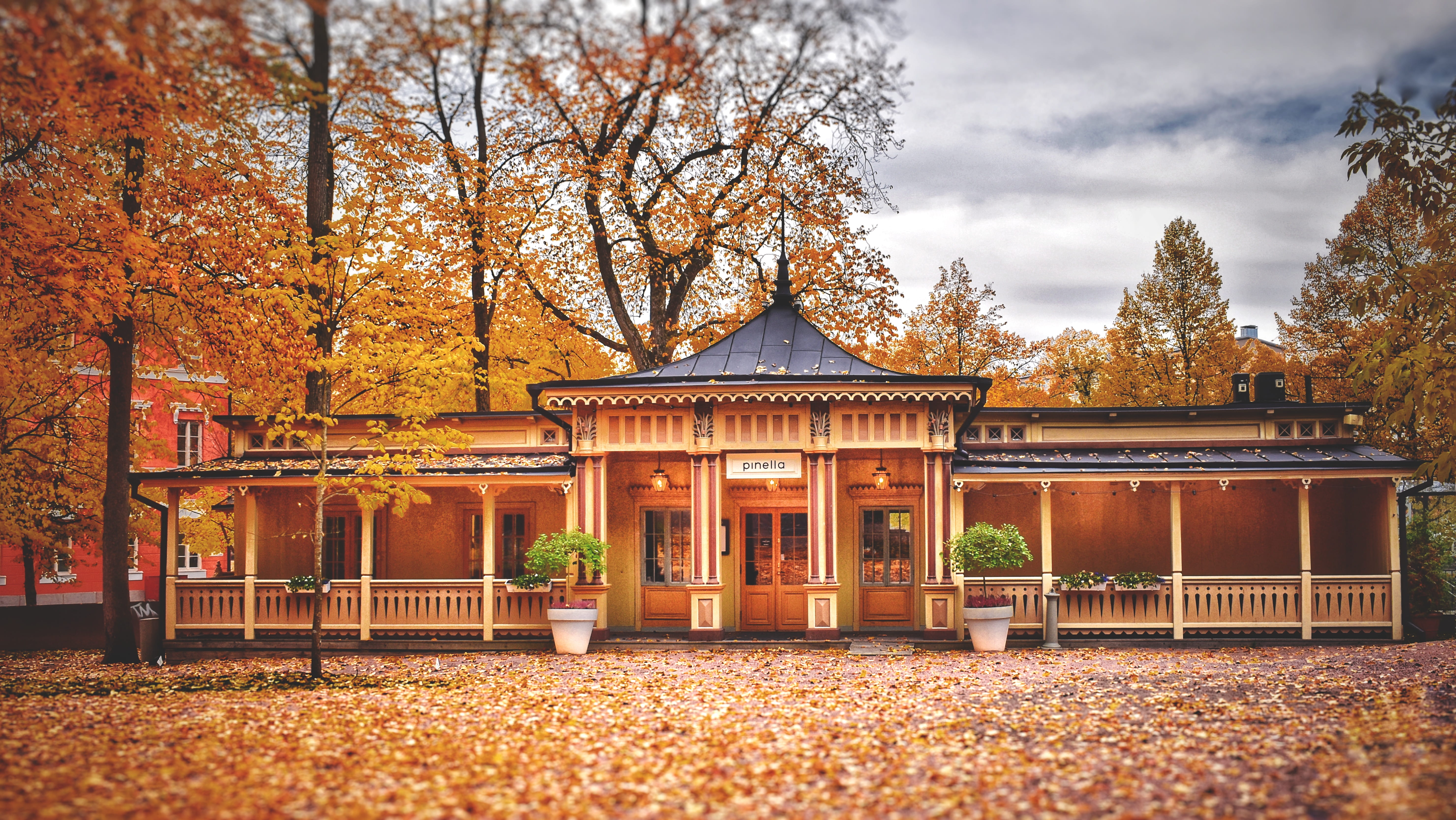 built structure, no people, nature, day, beauty in nature, leaf, 5K, outdoors, tree, cloud - sky, finland, change, plant, plant part, orange color, autumn, HD Wallpaper