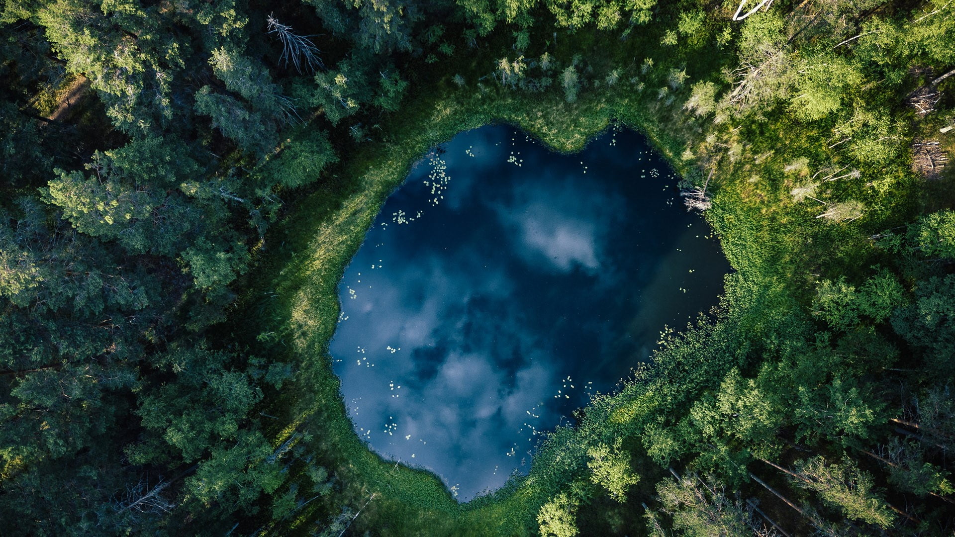 Finland, landscape, grass, 1080P, water, nature, aerial view, lake, trees, forest, HD Wallpaper