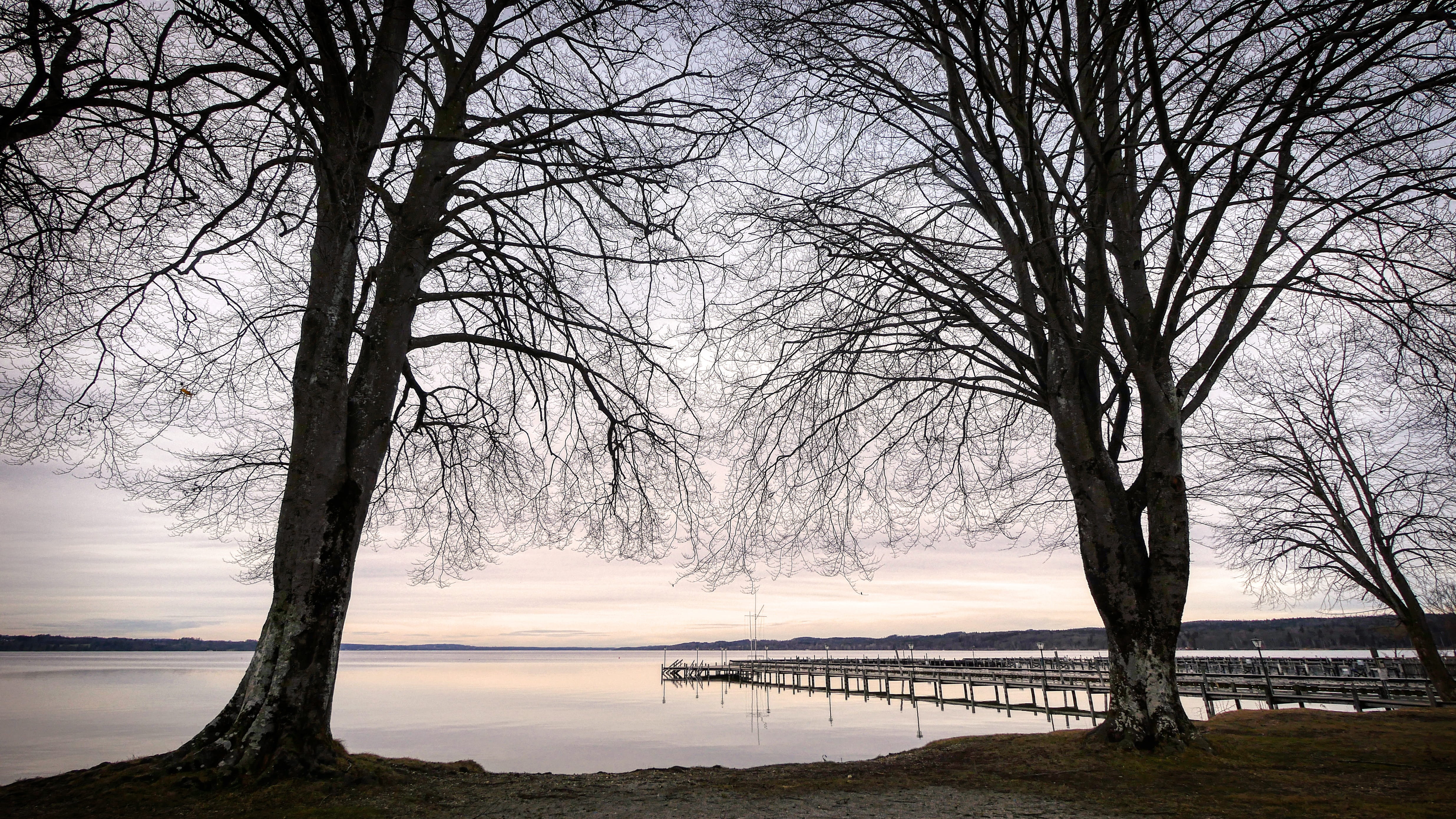 bare tree, outdoors, no people, beauty in nature, atmosphere, tranquility, 4K, scenics - nature, branch, nature, land, lake, beach, plant, day, starnberger see, HD Wallpaper