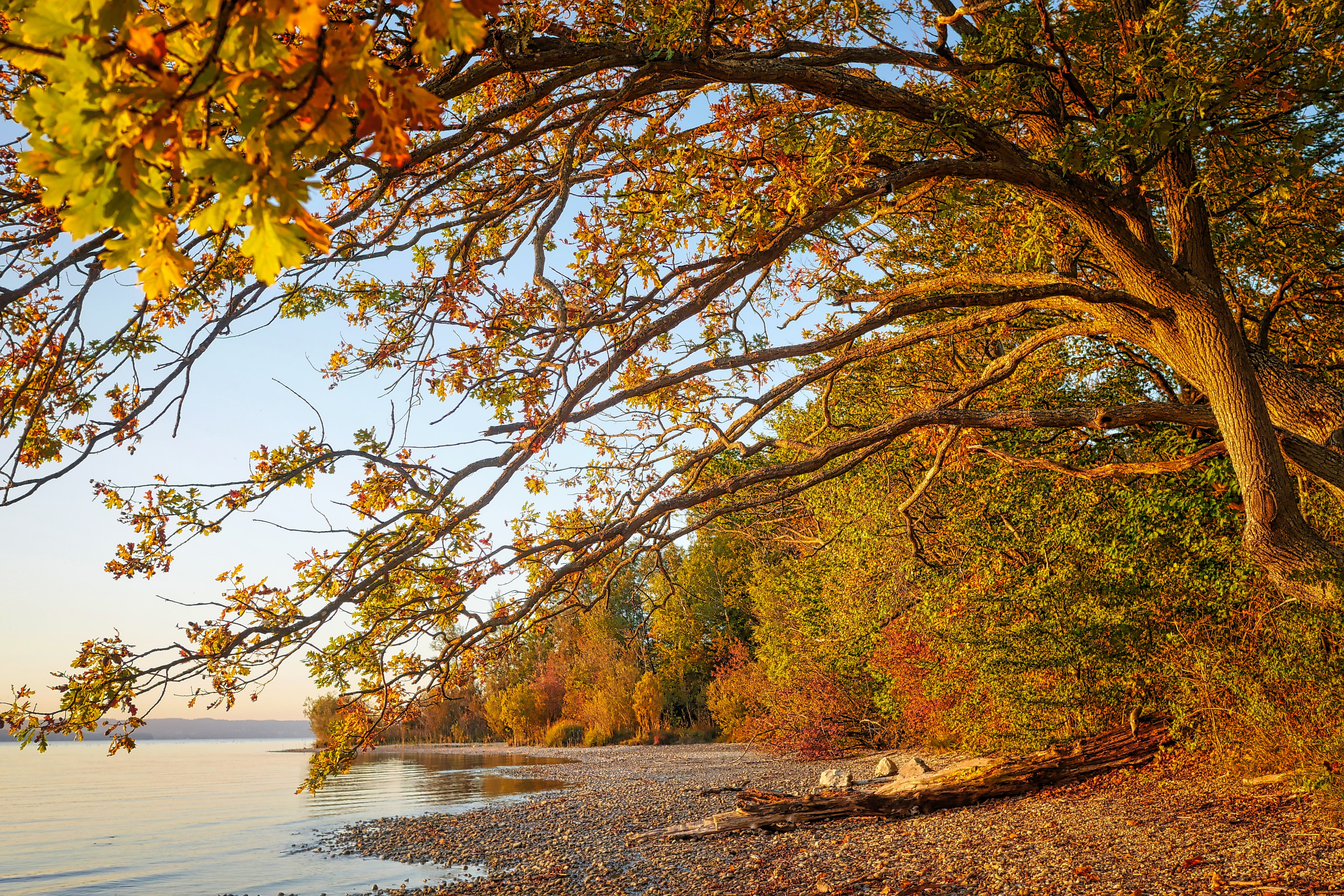 autumn, mood, landscape, plant, nature, water, tranquility, non-urban scene, no people, waters, starnberger see, 5K, idyllic, summer, dusk, lake, day, HD Wallpaper
