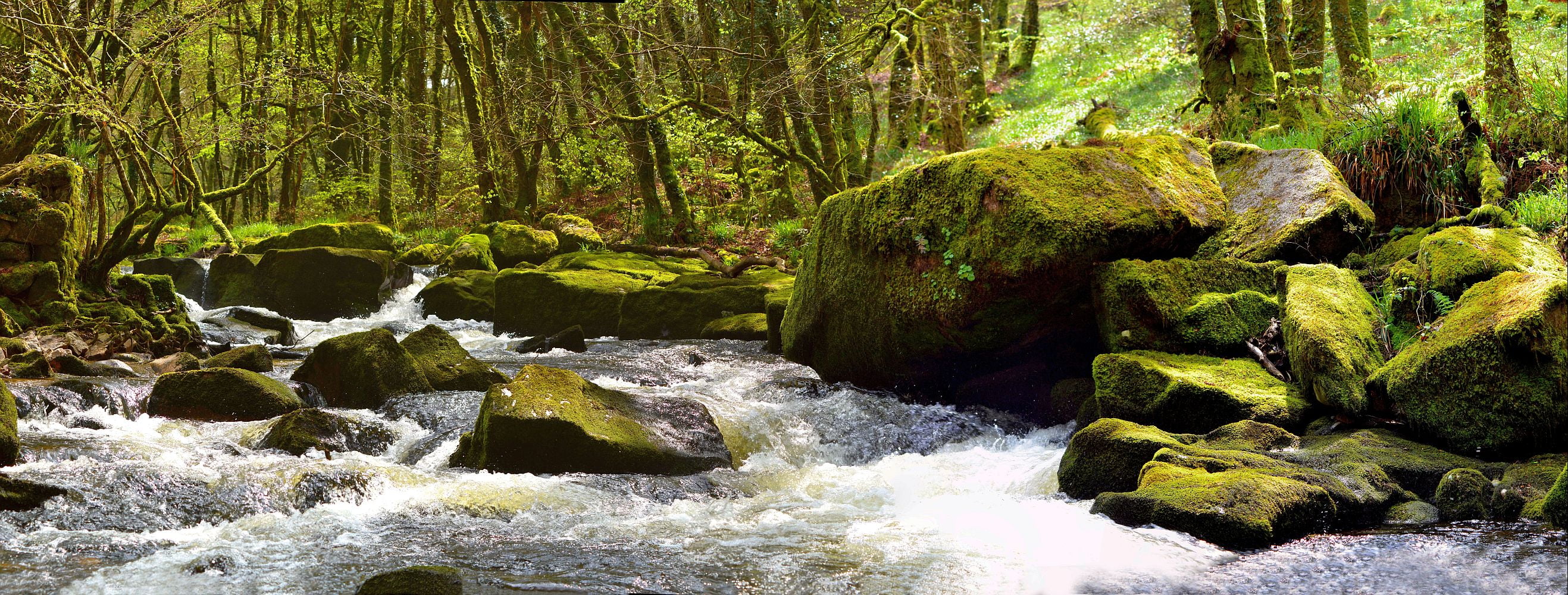 outdoors, Image, scenics, DSC, moss, Panorama, Granite, Tamron, tree, Cornwall, West Country, rock - Object, Falls  River, running, Stitched, Di, sky, nature, HD Wallpaper
