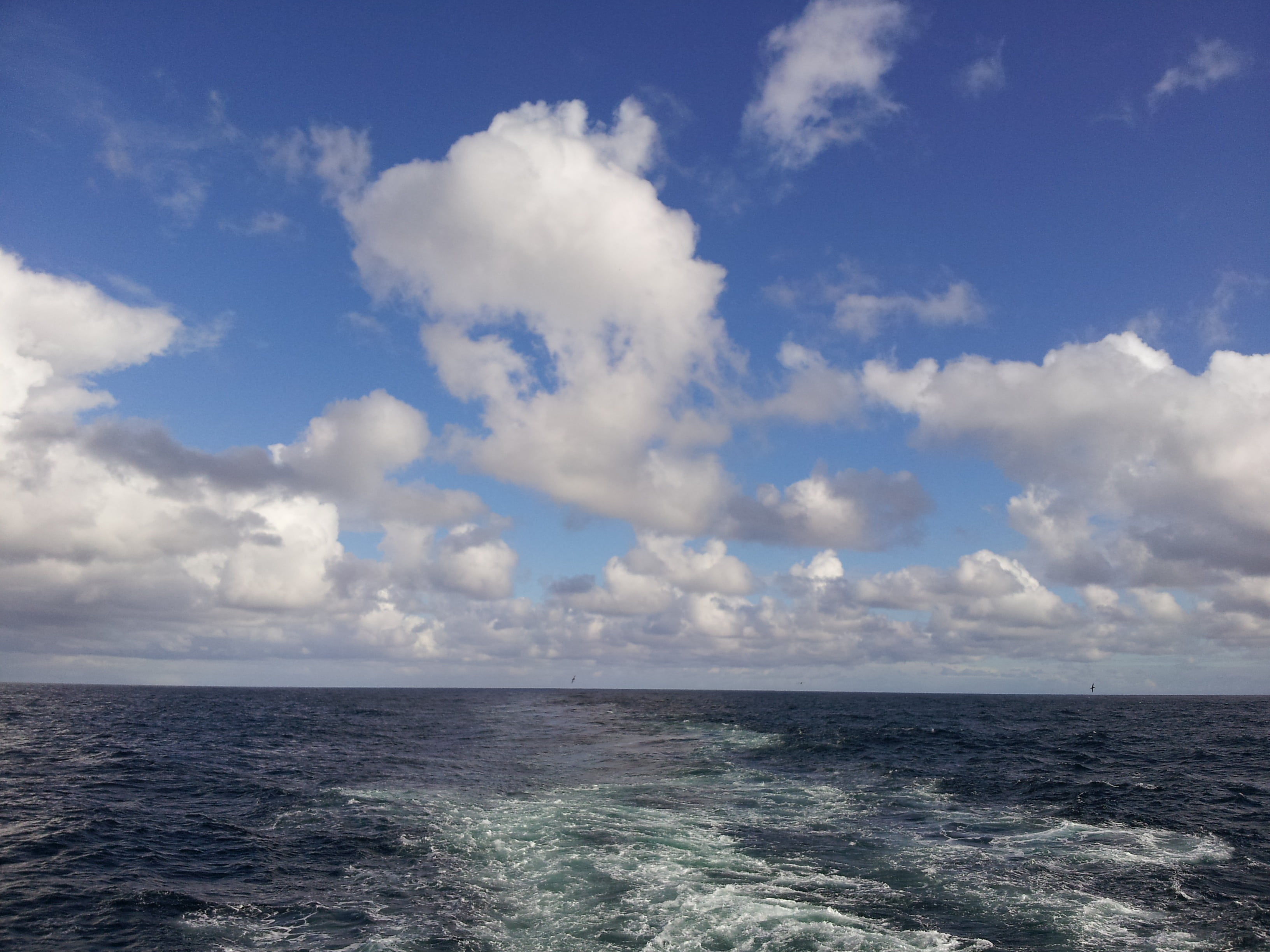 idyllic, horizon, scenics, day, beauty in nature, nature, scenics - nature, weather, sea, cloud - Sky, power in nature, magellan, seascape, summer, chile, HD Wallpaper
