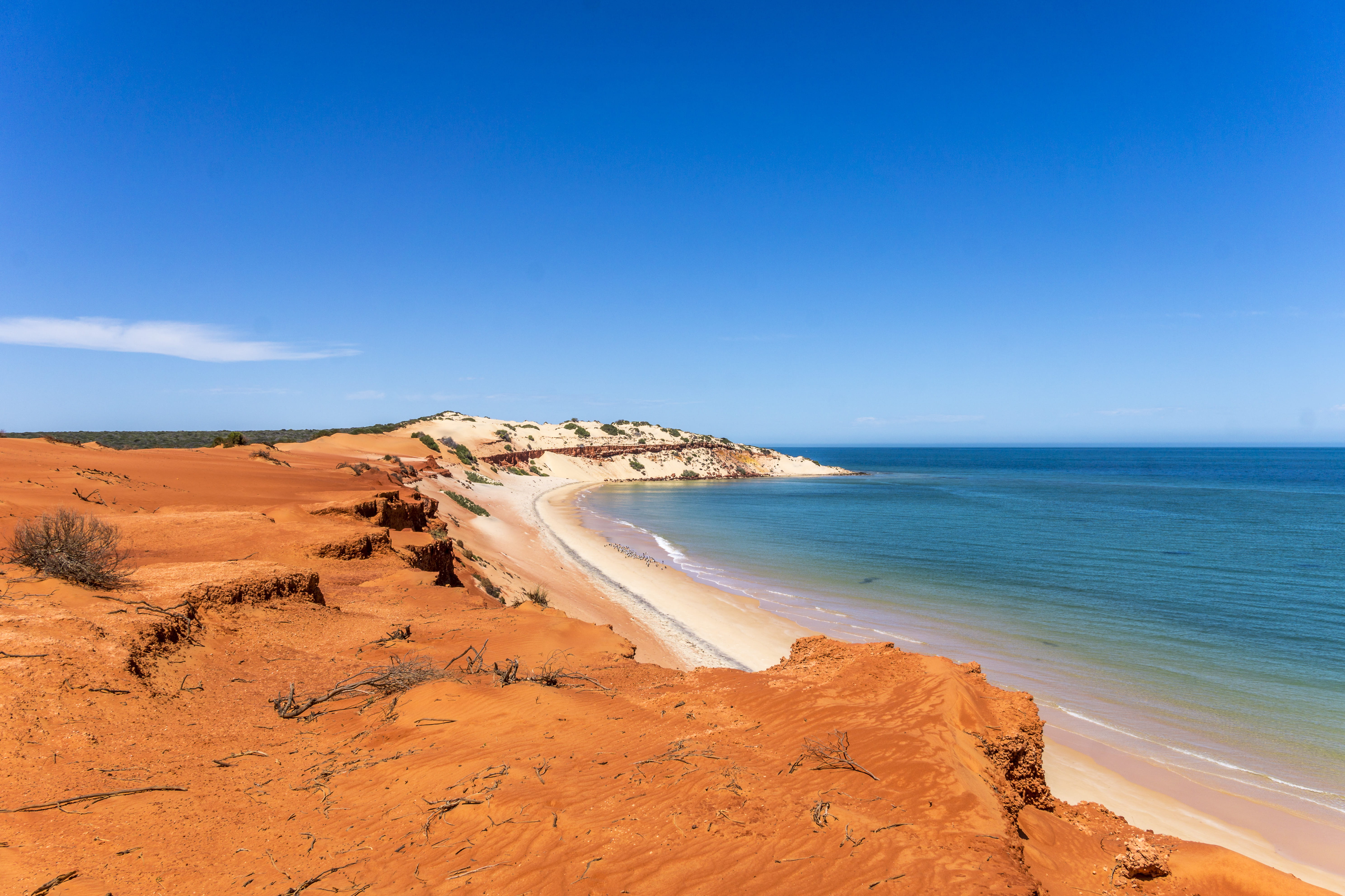soil, beach, western australia, coast, arid climate, horizon, summer, 5K, australia, blue, nature, day, travel destinations, promontory, beauty in nature, HD Wallpaper