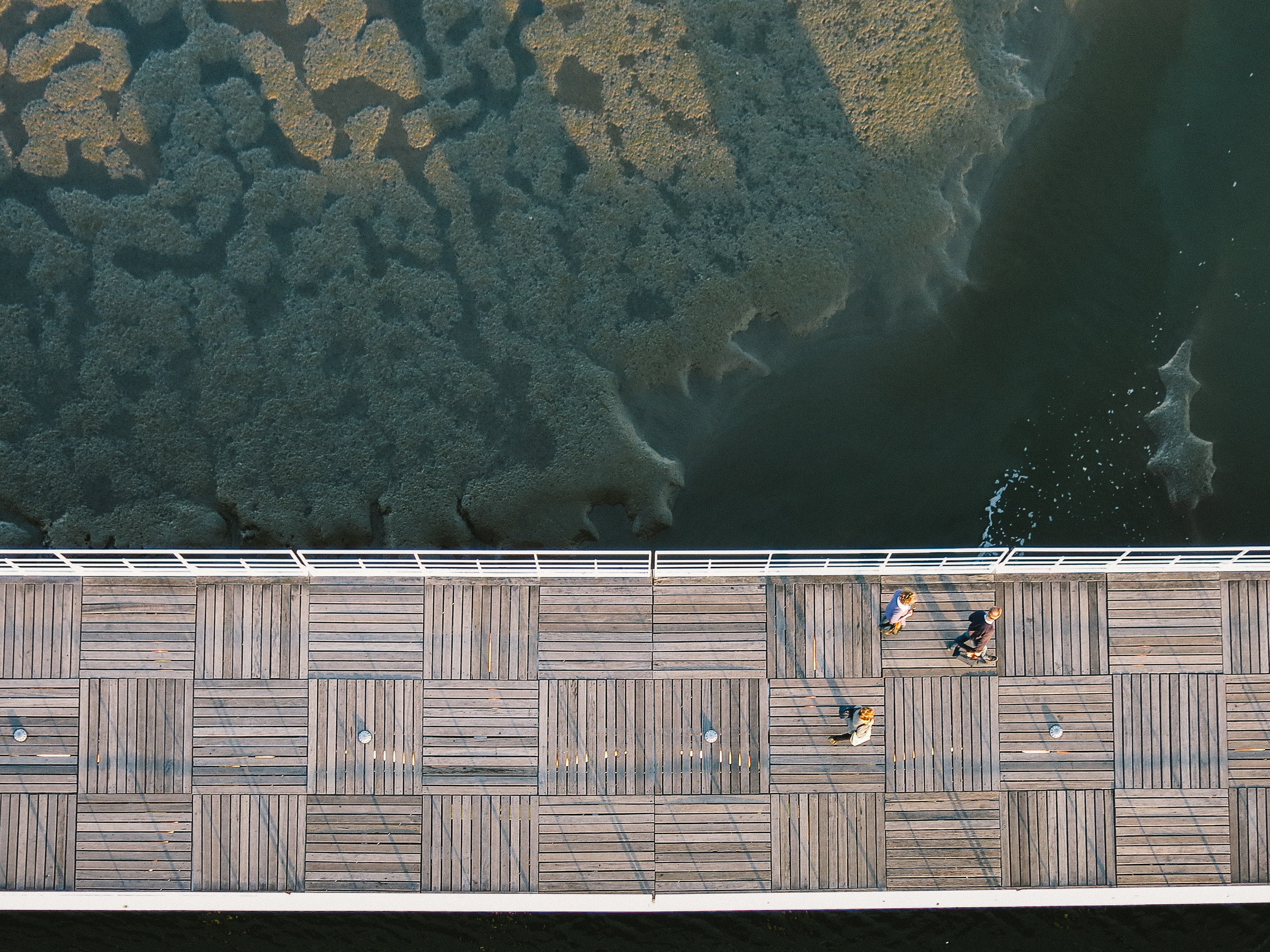built structure, land, architecture, outdoors, high angle view, bridge, footbridge, no people, landing stage, vertebrate, walking, transportation, people, HD Wallpaper