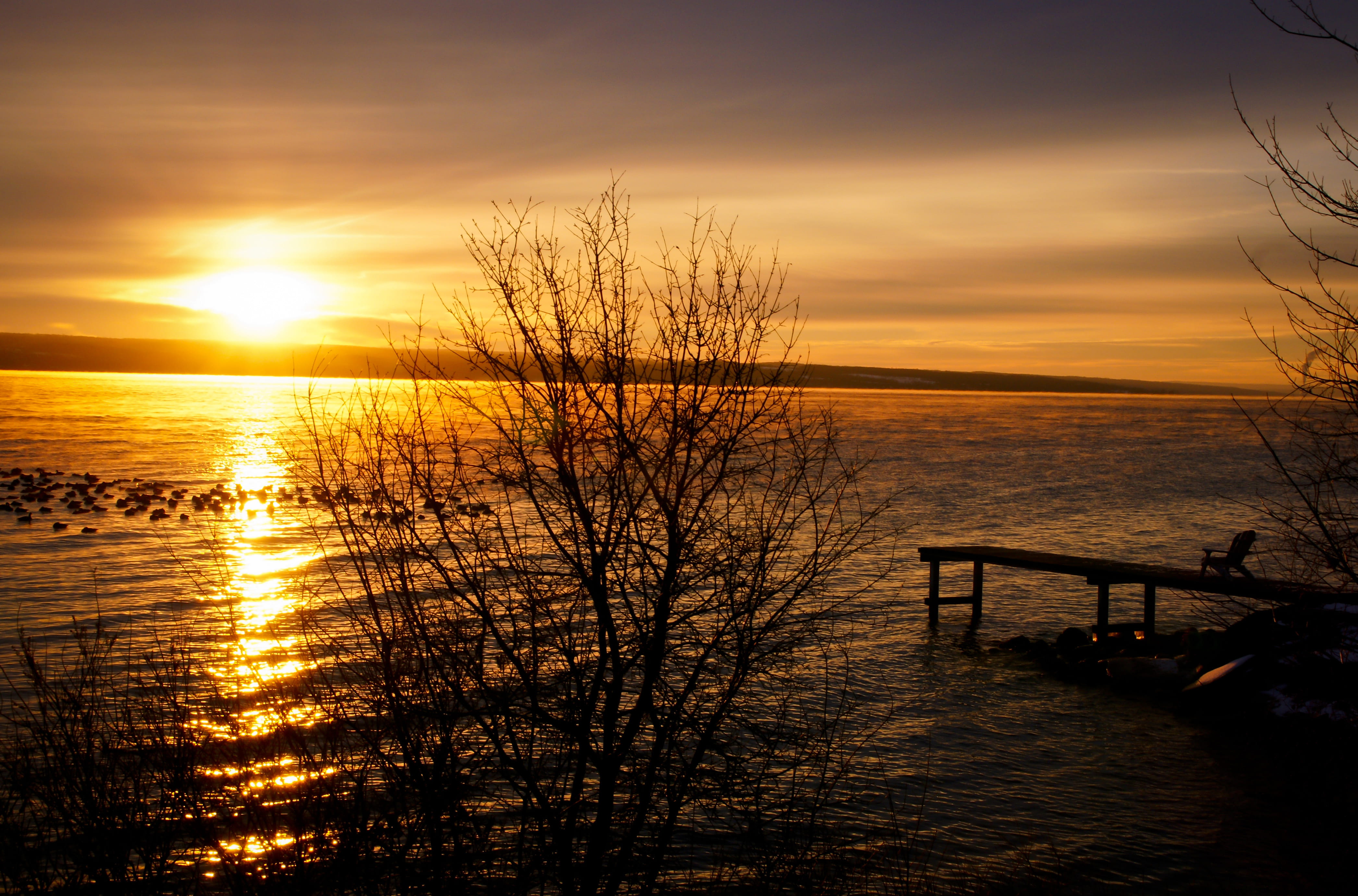 no people, jetty, lake, sky, tree, dock, idyllic, vacation, ocean, 4K, dawn, nature, plant, sun, tranquil scene, tranquility, pontoon, bare tree, orange color, HD Wallpaper
