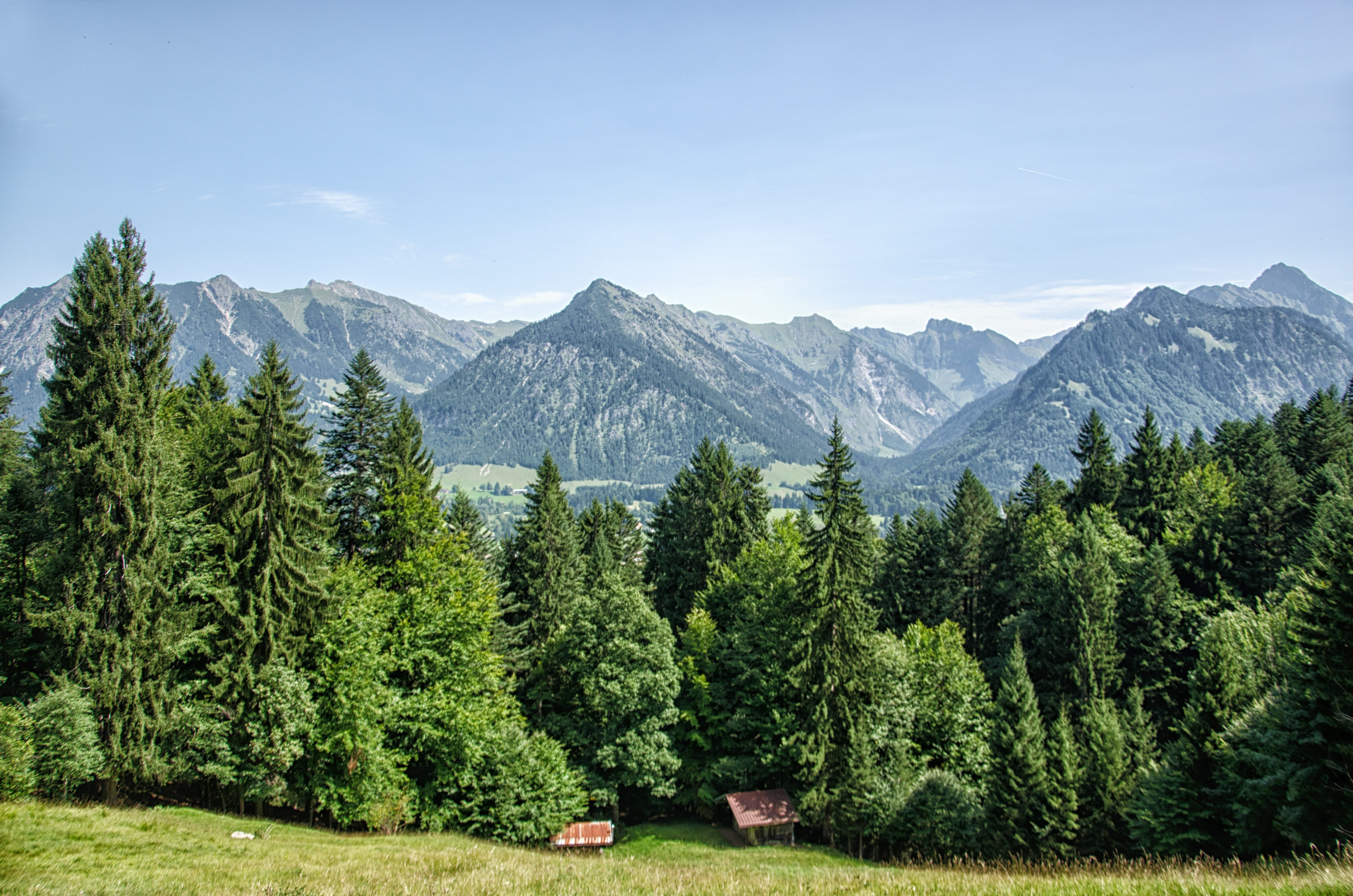 no people, tranquility, snowcapped mountain, trees, scenics - nature, pine tree, growth, allgäu, forest, land, coniferous tree, sky, nature, mountain, summer, HD Wallpaper