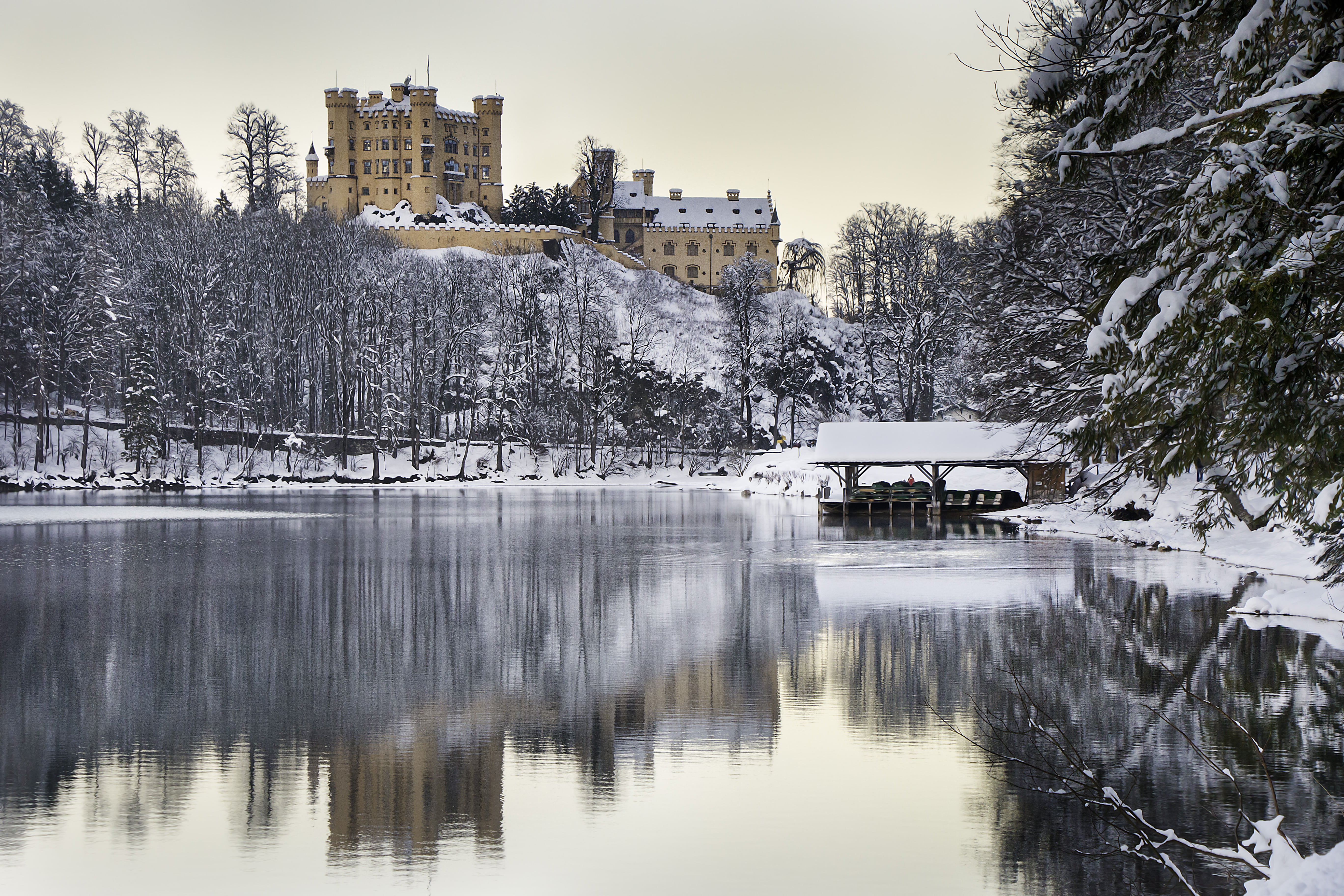 germany, Hohenschwangau, 5K, füssen, water, lake, body, hut, pines, nature, alps, house in the middle, alpsee, house, explore, tree, bavaria, snow, middle, HD Wallpaper